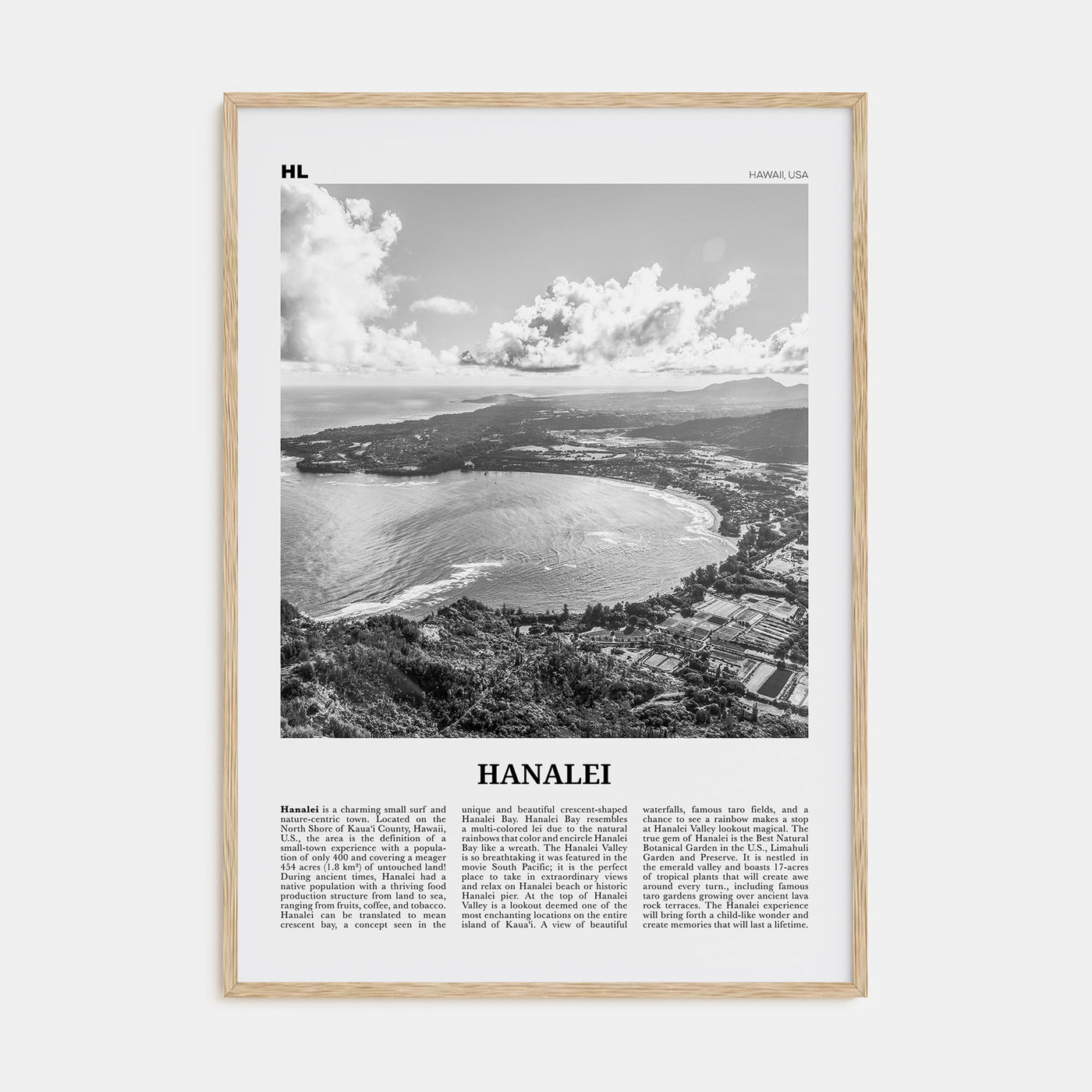 Hanalei Travel B&W Poster