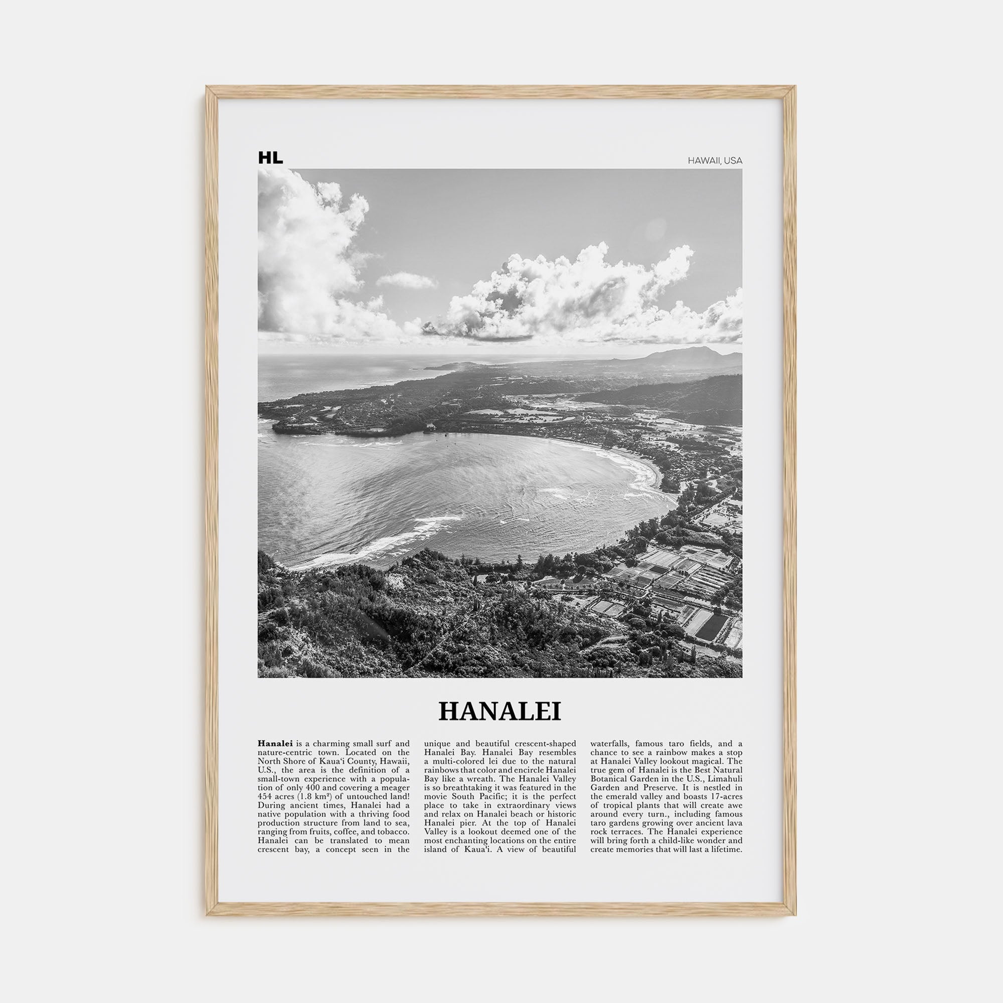 Hanalei Travel B&W Poster