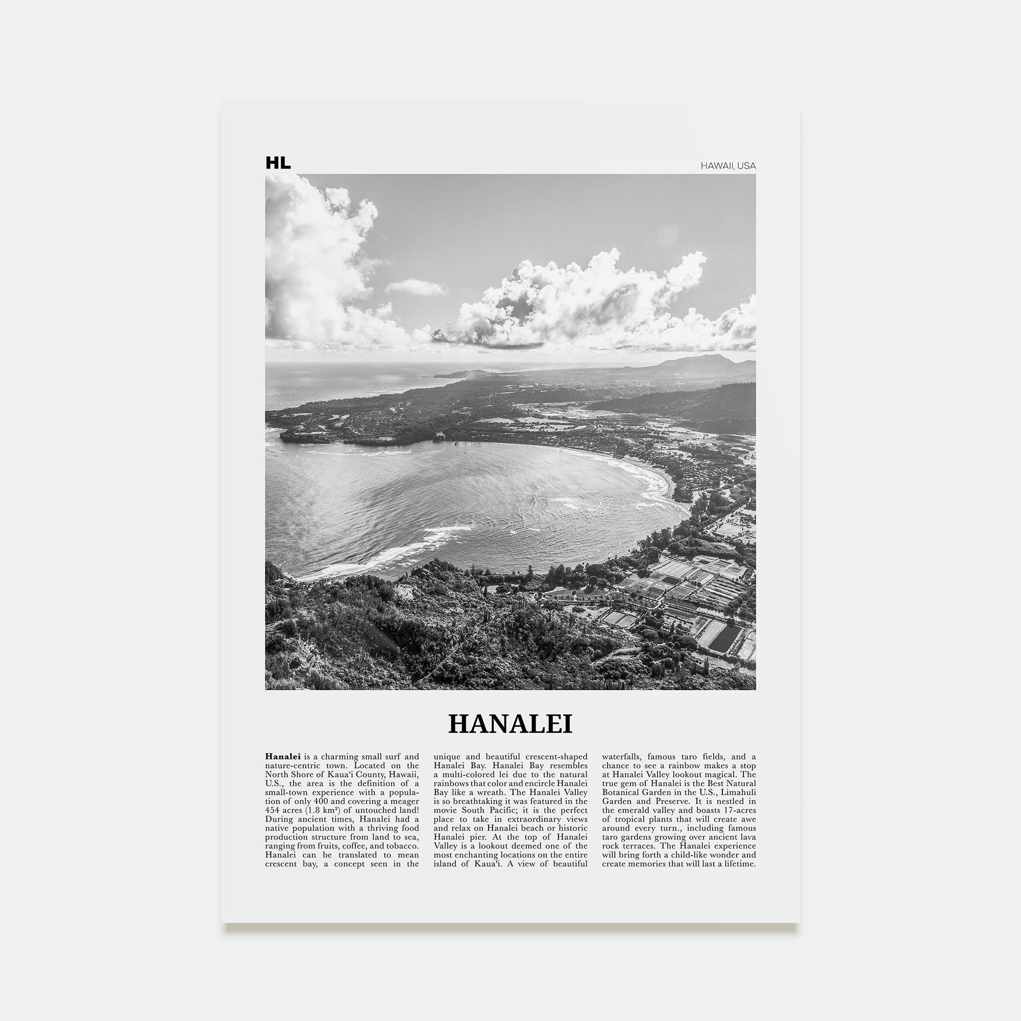 Hanalei Travel B&W Poster