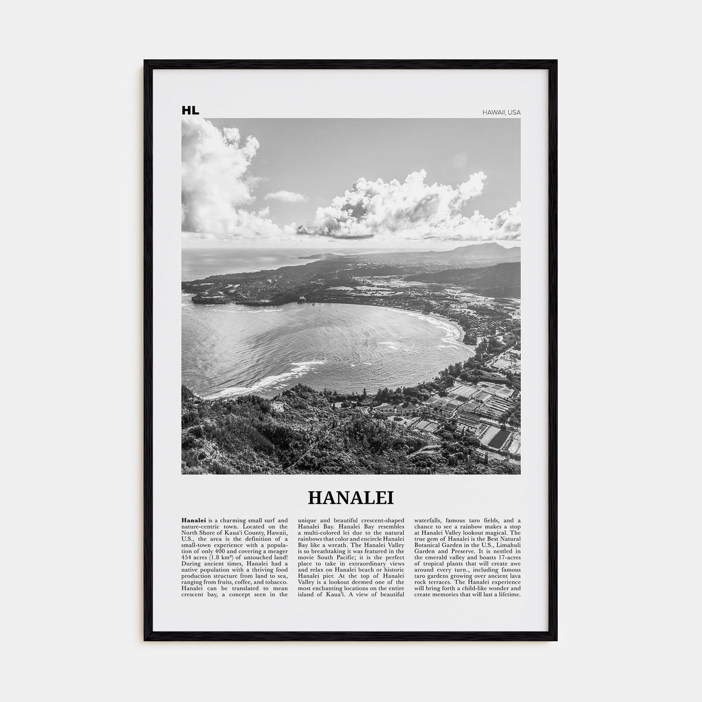 Hanalei Travel B&W Poster