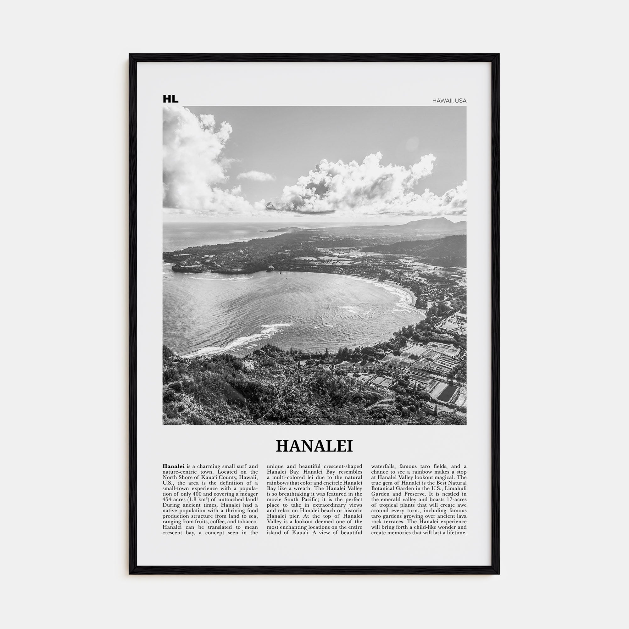 Hanalei Travel B&W Poster