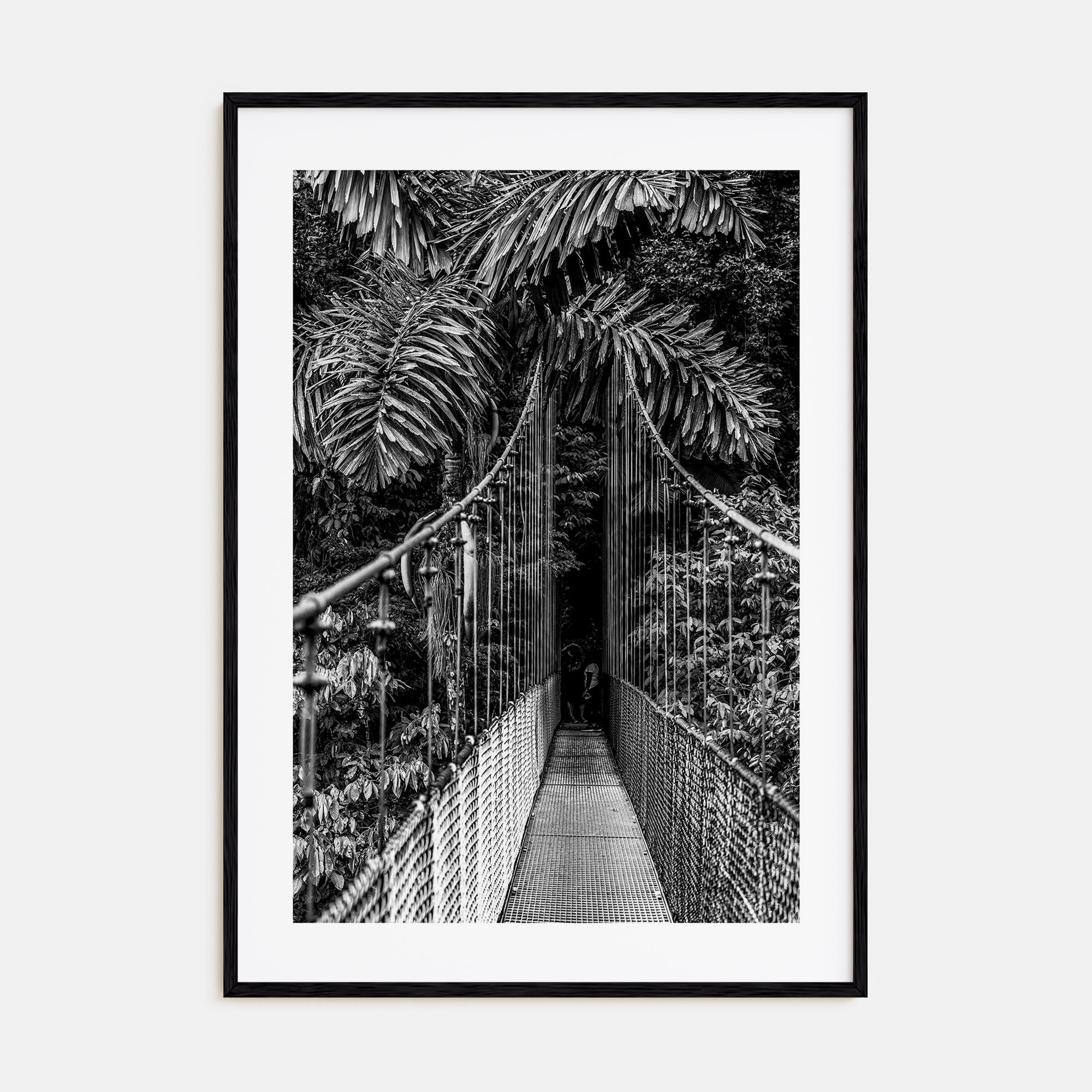 Hanging Bridge Photo B&W Poster