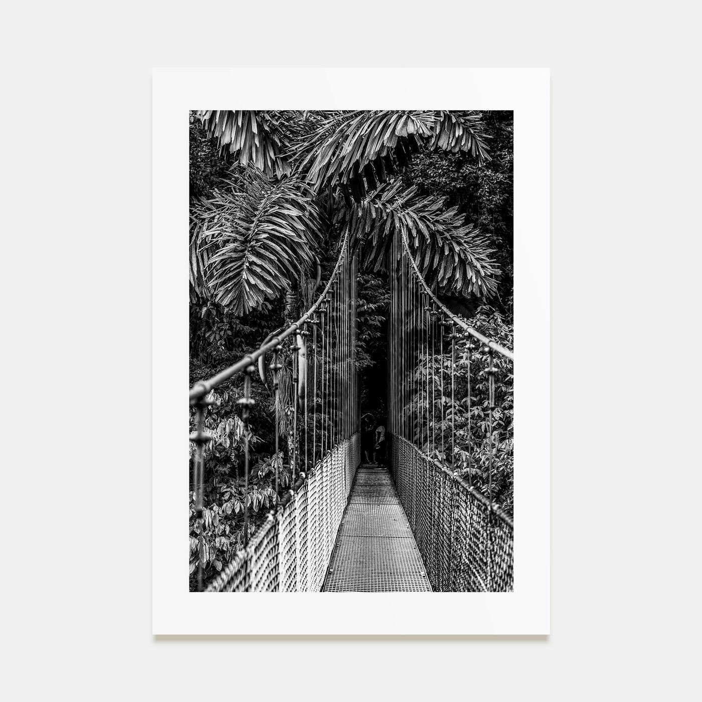 Hanging Bridge Photo B&W Poster
