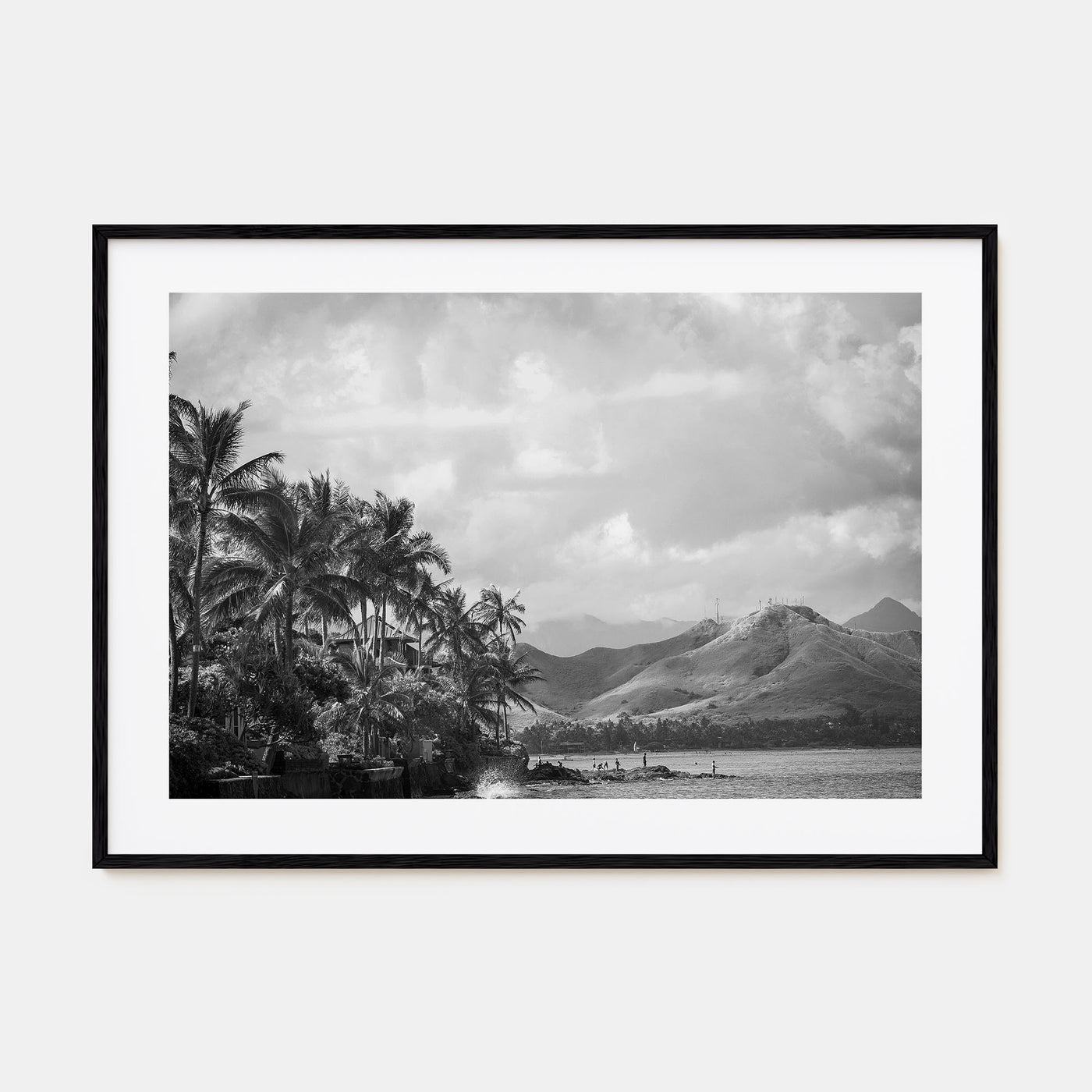 Hawaii Landscape B&W No 1 Poster