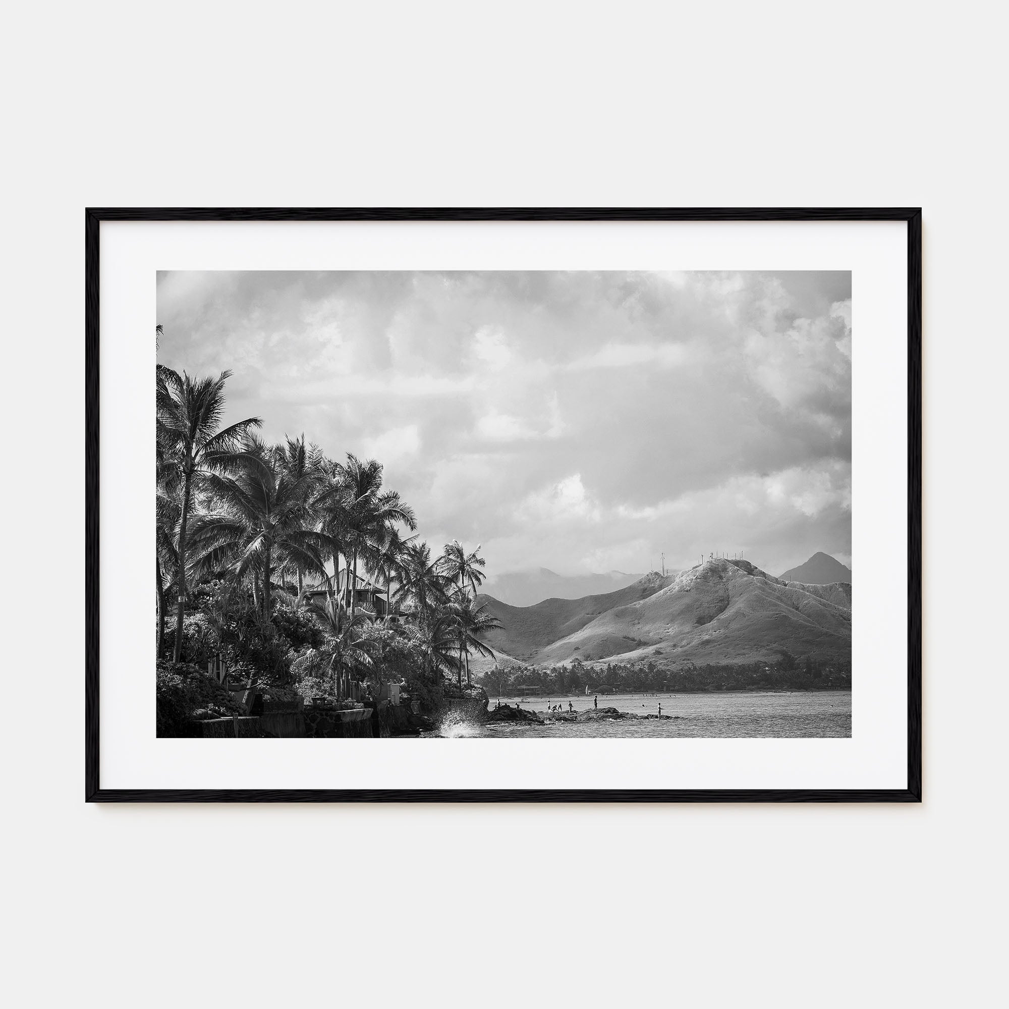 Hawaii Landscape B&W No 1 Poster