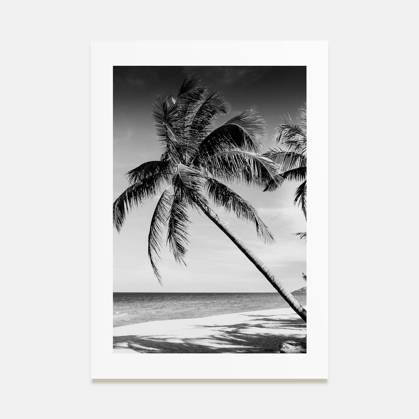 Hawaii Photo B&W No 2 Poster
