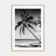 Hawaii Photo B&W No 2 Poster