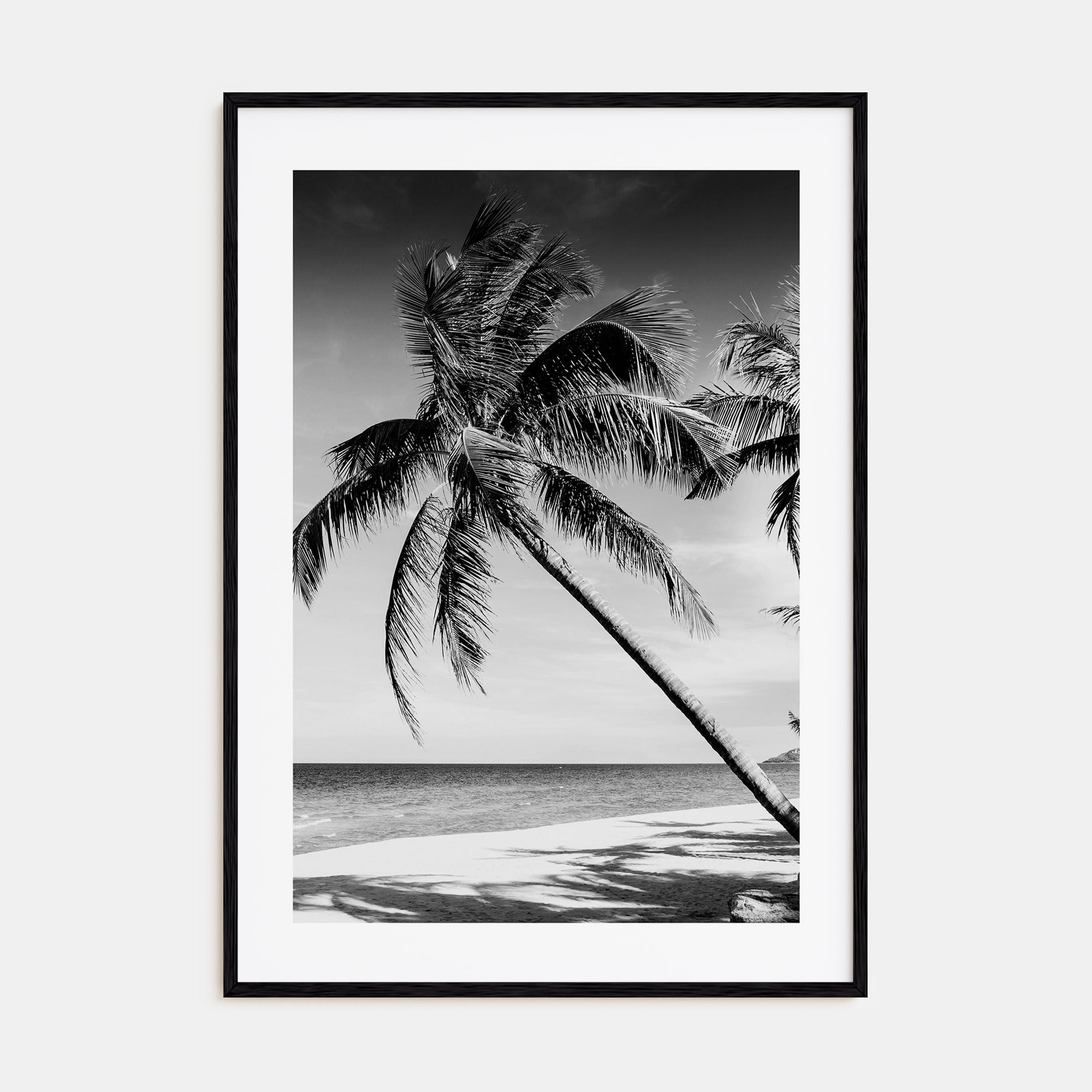 Hawaii Photo B&W No 2 Poster