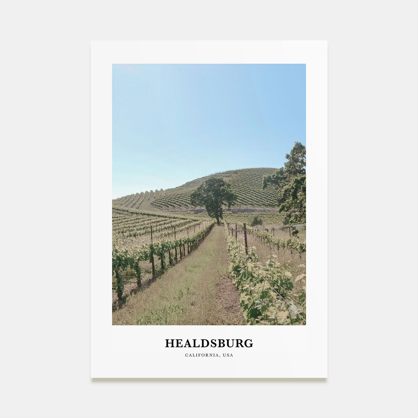 Healdsburg Portrait Color Poster