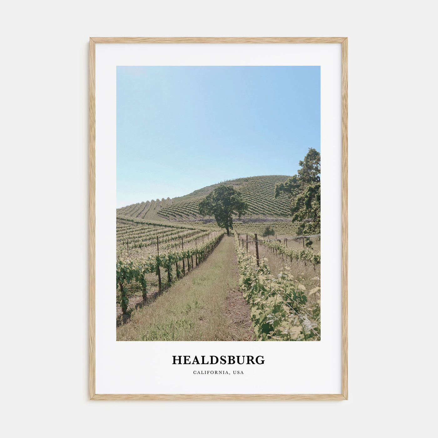 Healdsburg Portrait Color Poster
