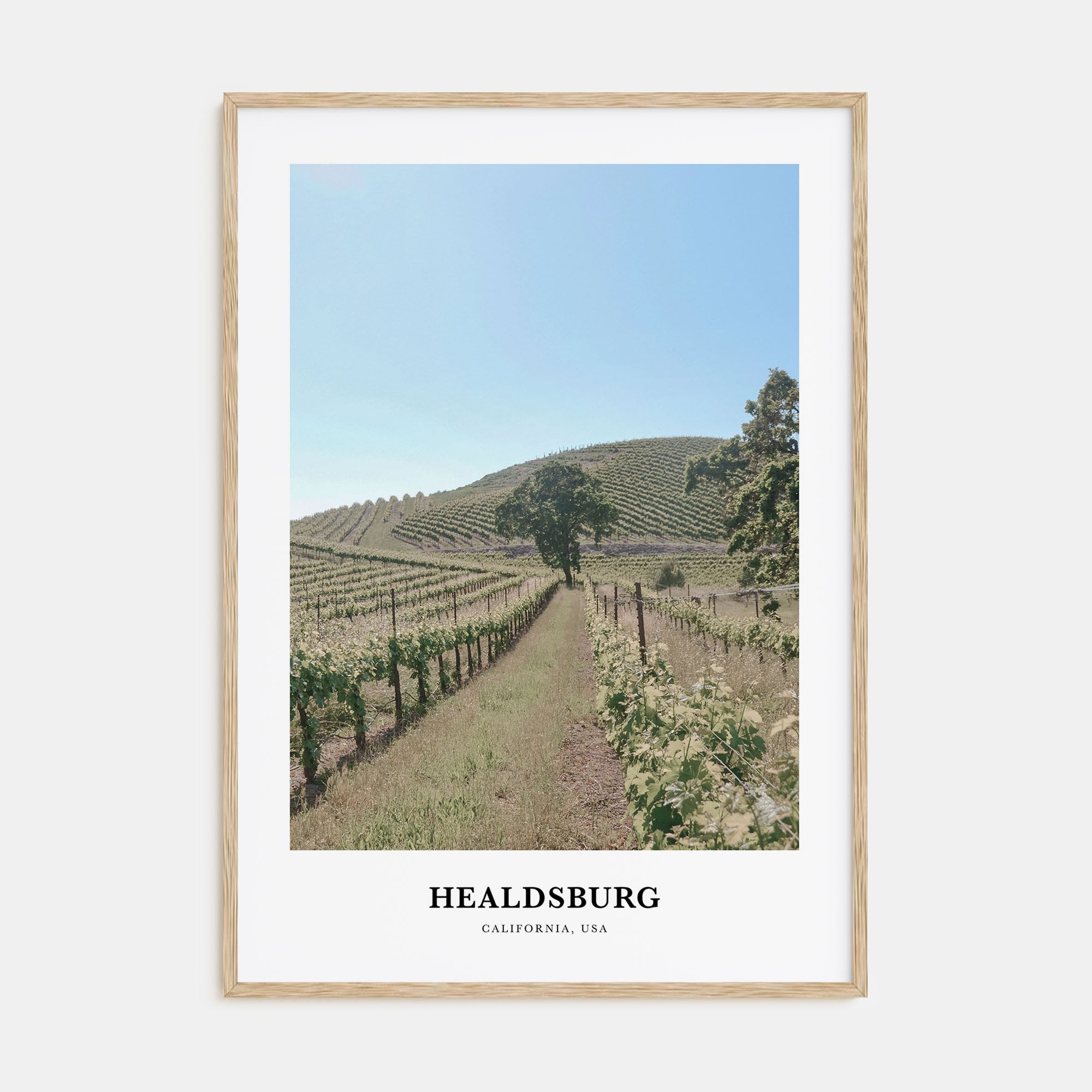 Healdsburg Portrait Color Poster