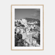 Hillside Houses Photo B&W No 1 Poster