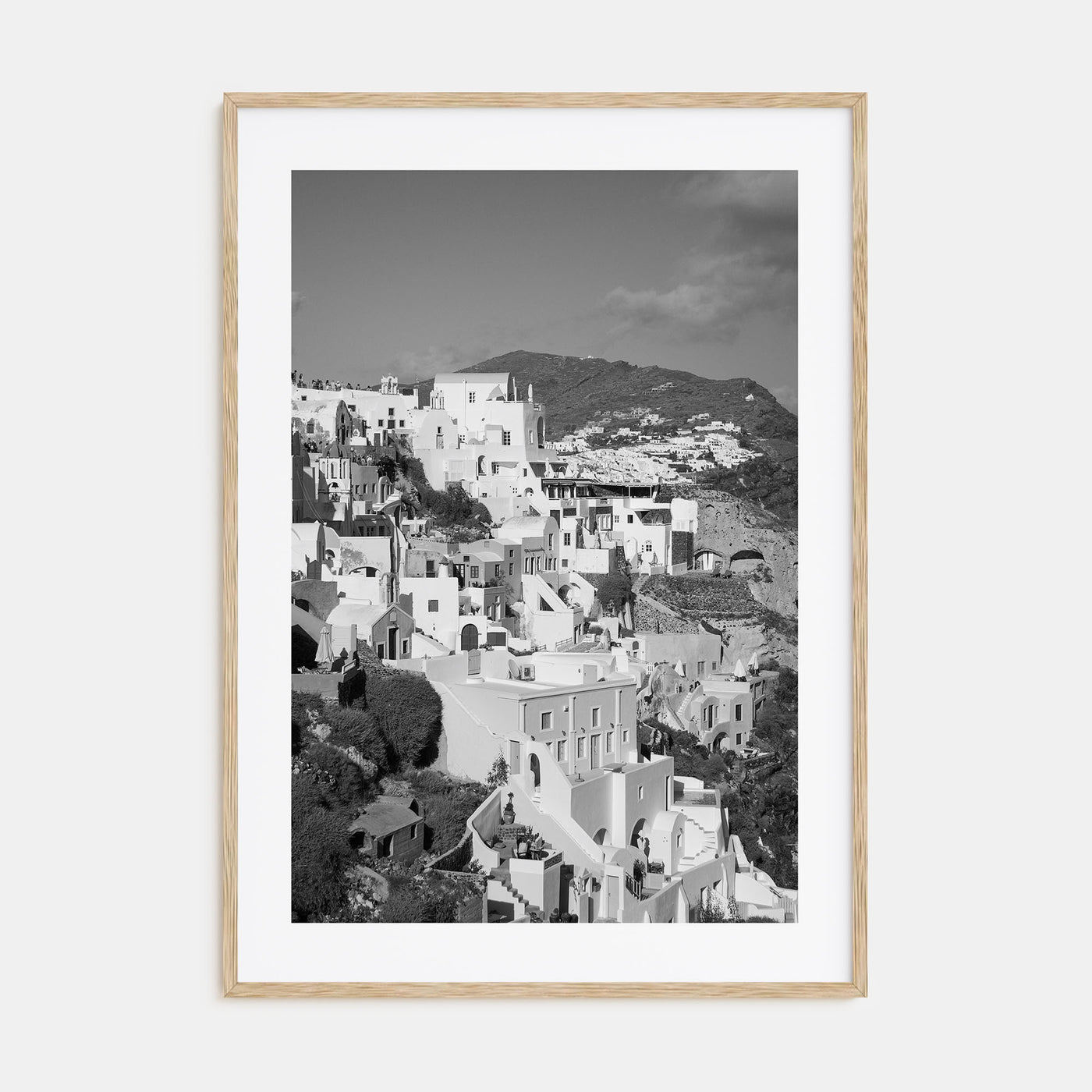 Hillside Houses Photo B&W No 1 Poster