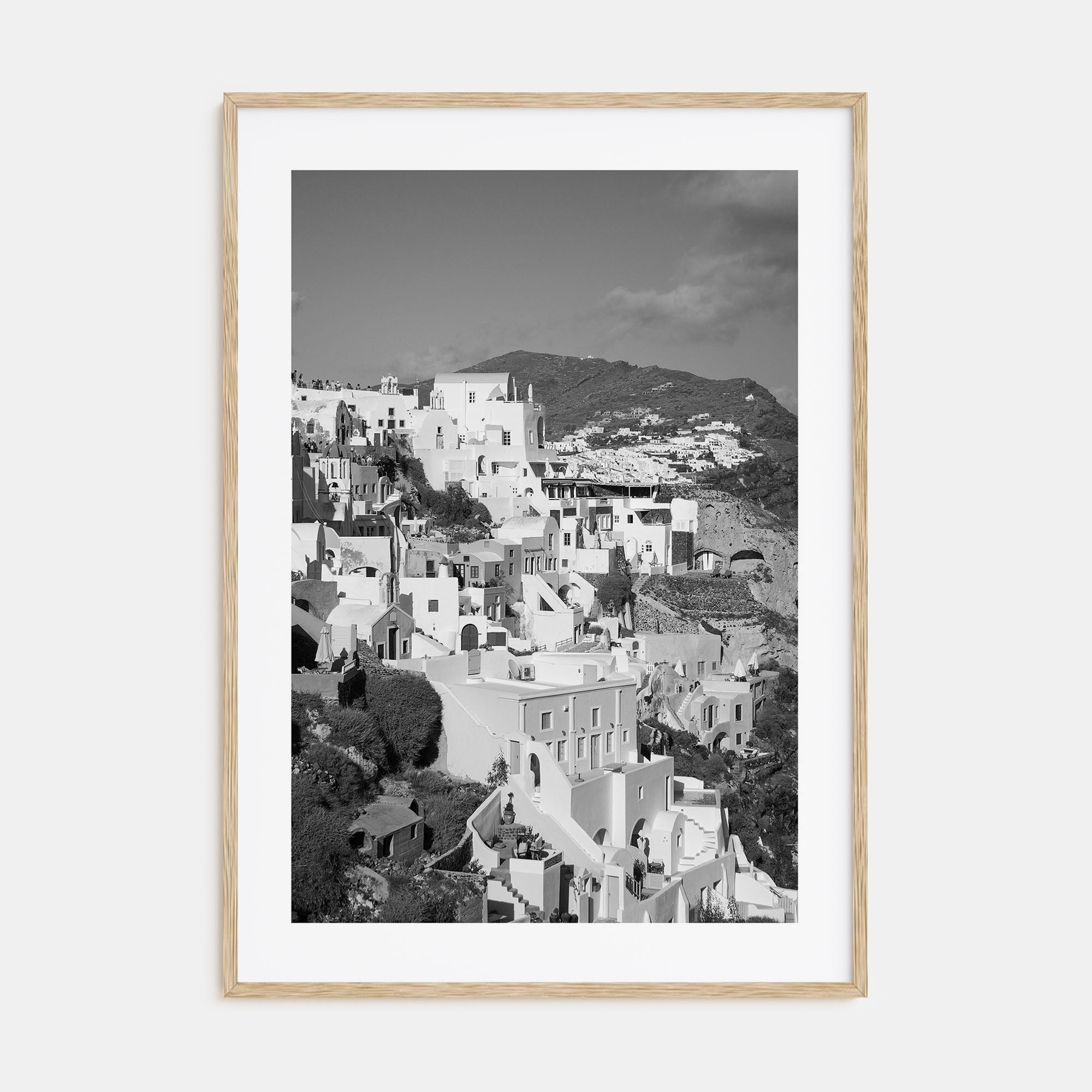 Hillside Houses Photo B&W No 1 Poster