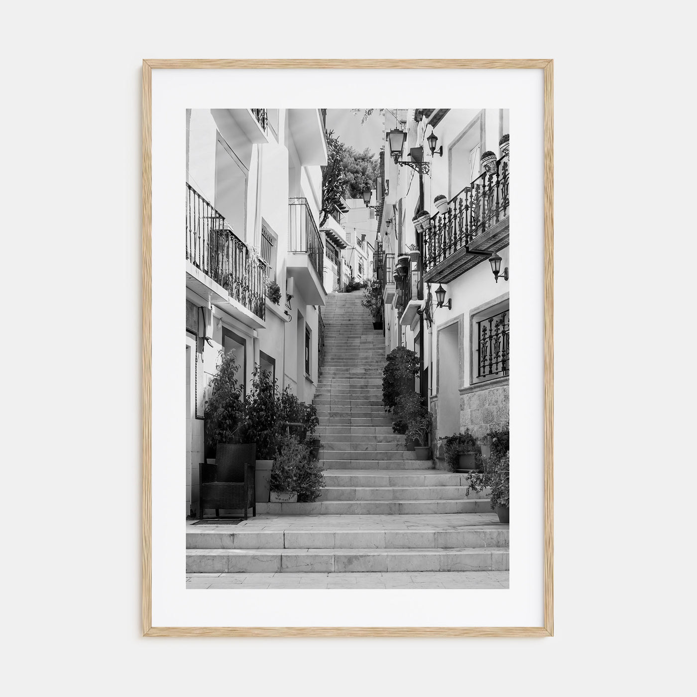 Hillside Houses Photo B&W No 2 Poster