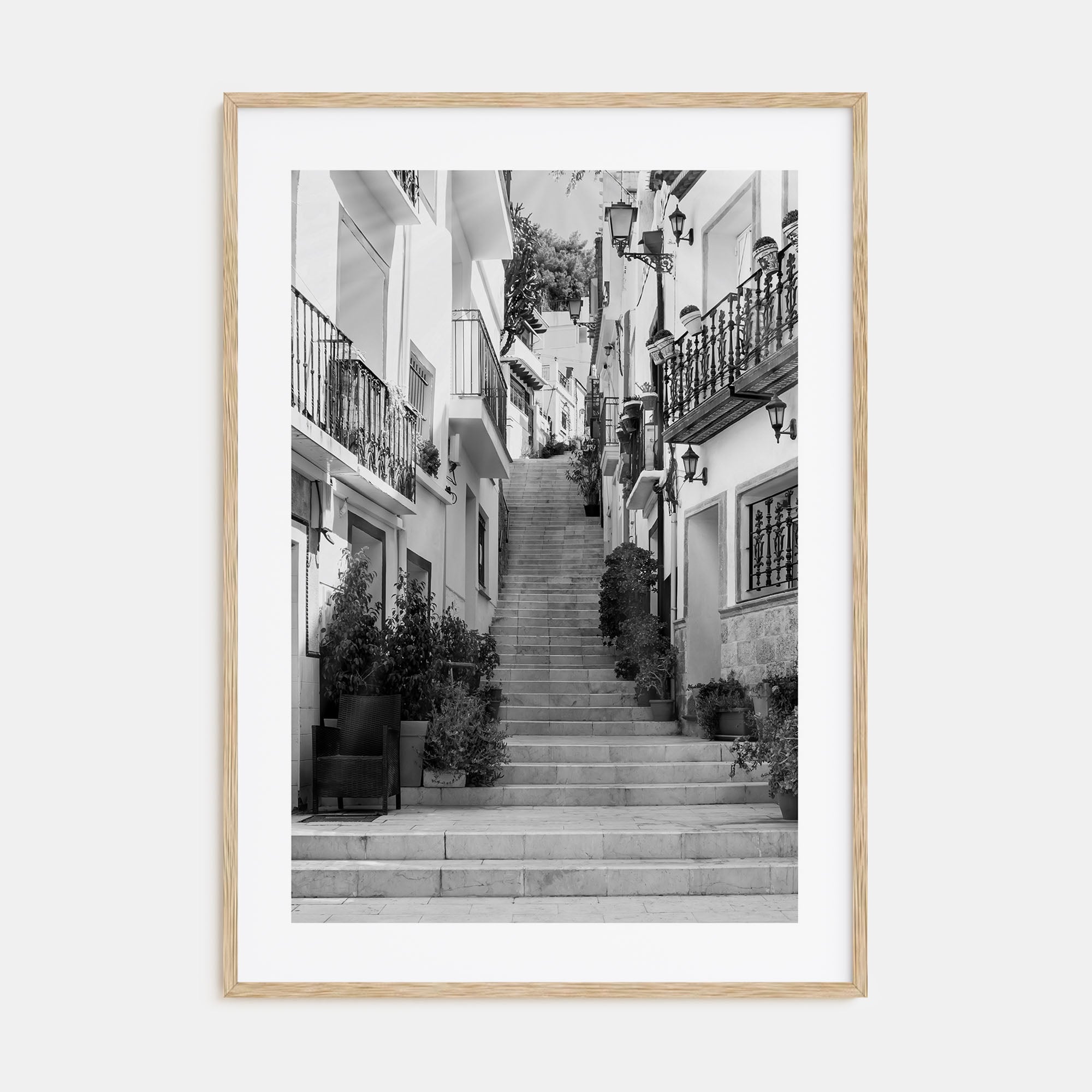 Hillside Houses Photo B&W No 2 Poster
