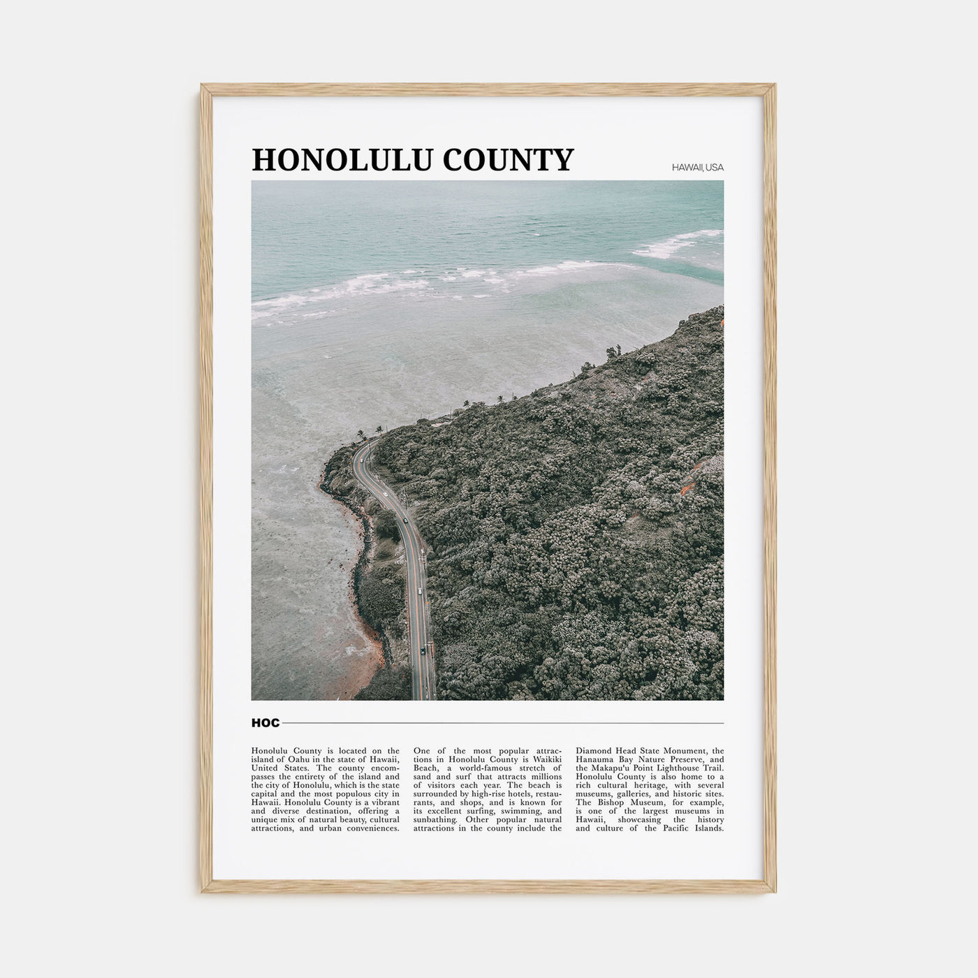 Honolulu County Travel Color Poster