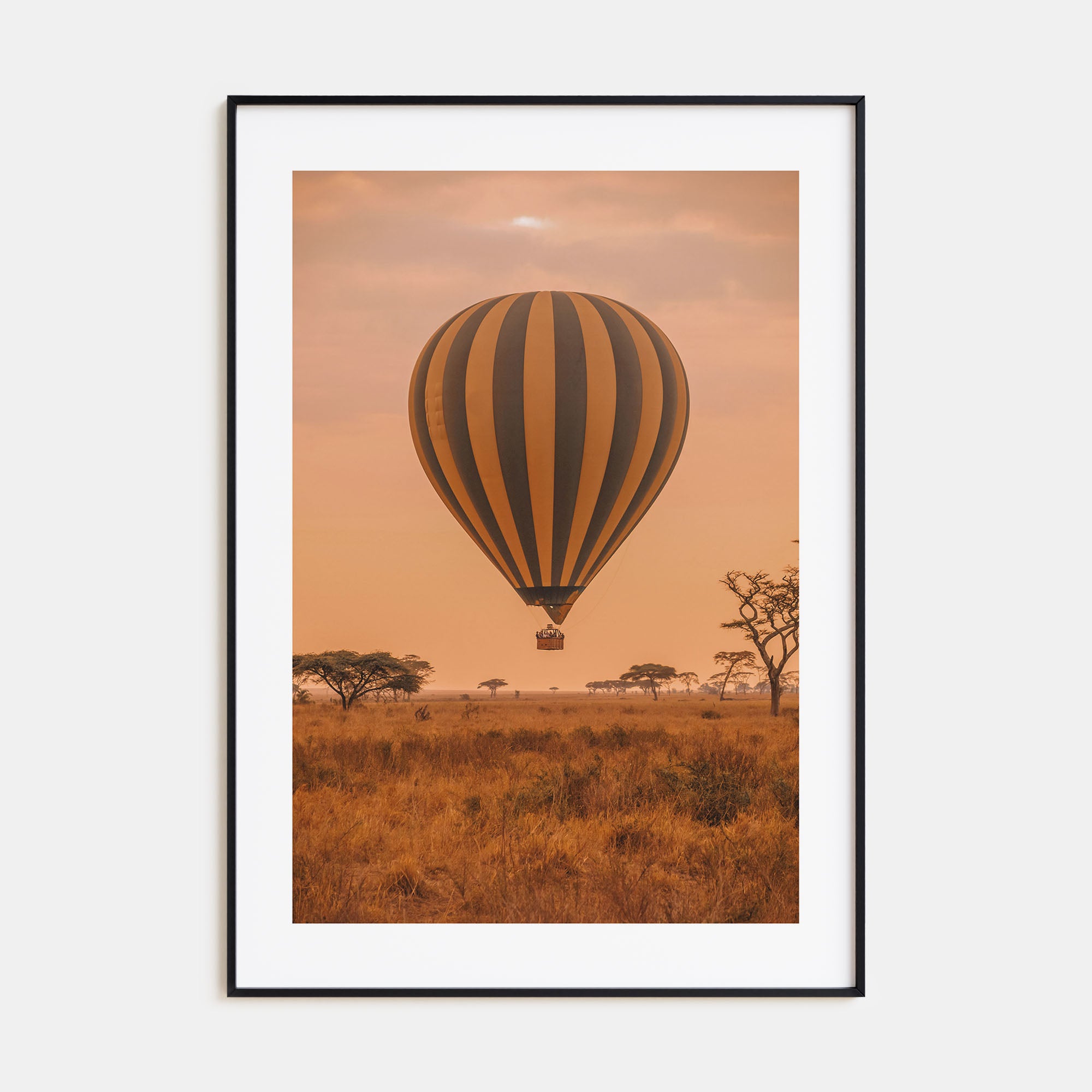 Hot Air Balloon Photo Color No 1 Poster