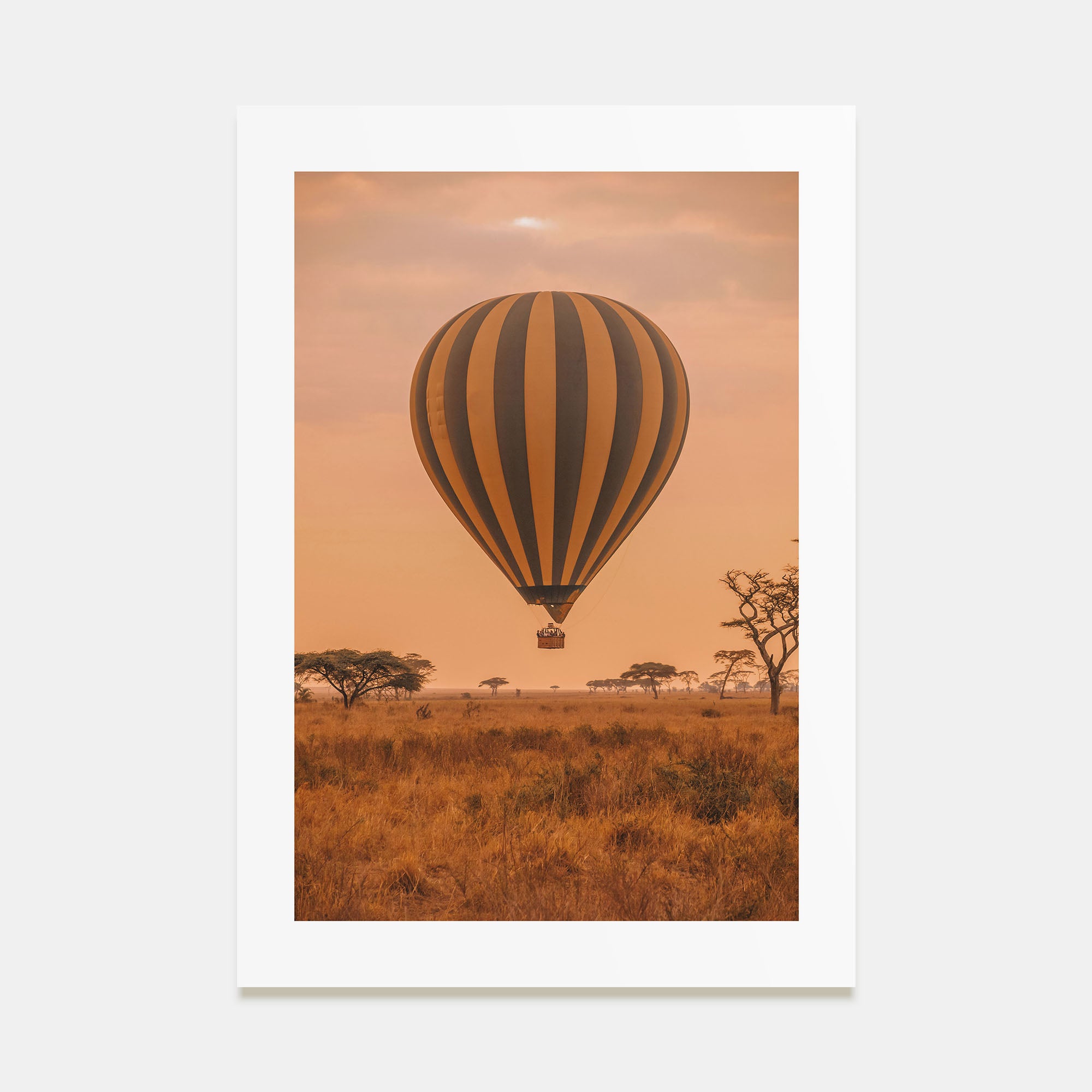 Hot Air Balloon Photo Color No 1 Poster
