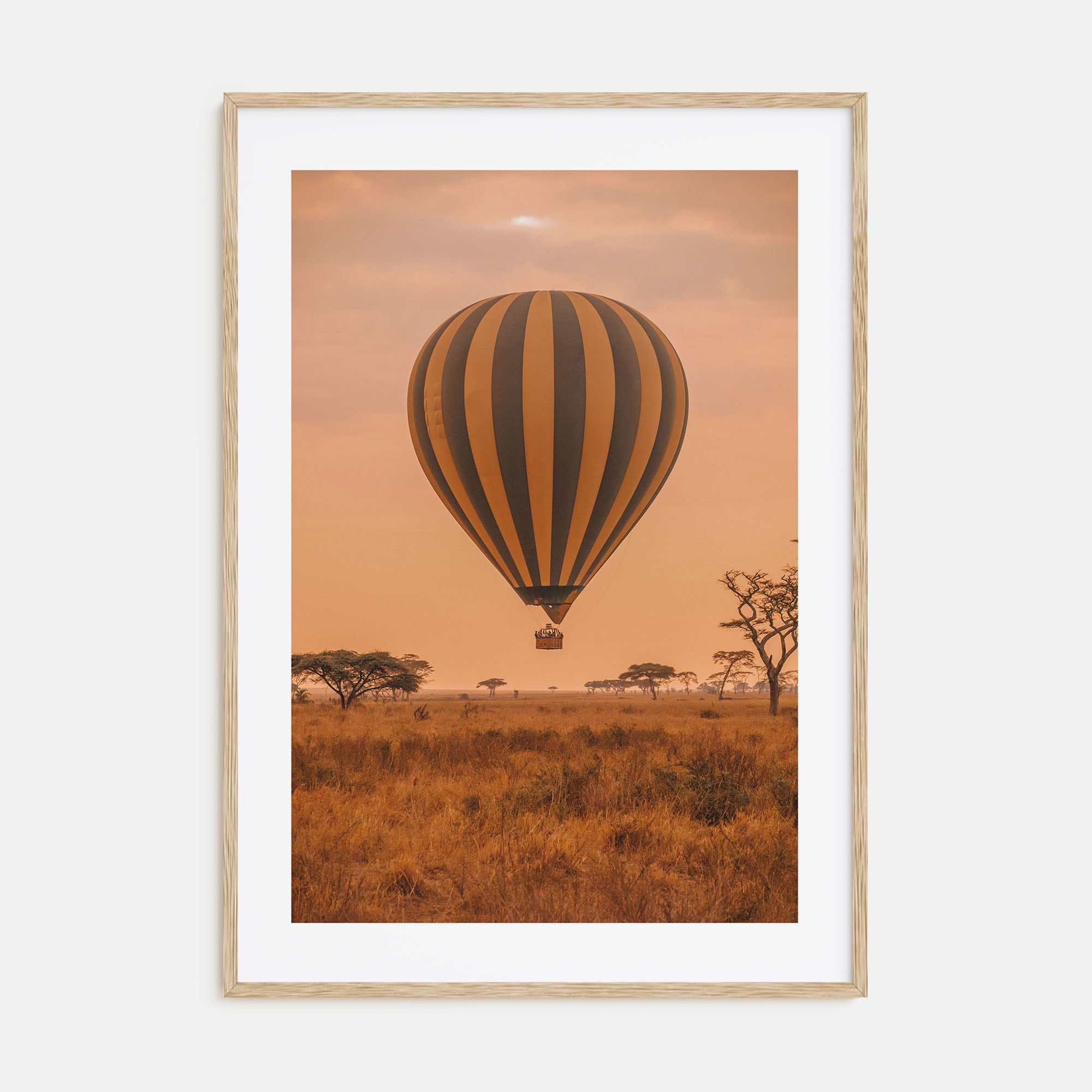 Hot Air Balloon Photo Color No 1 Poster