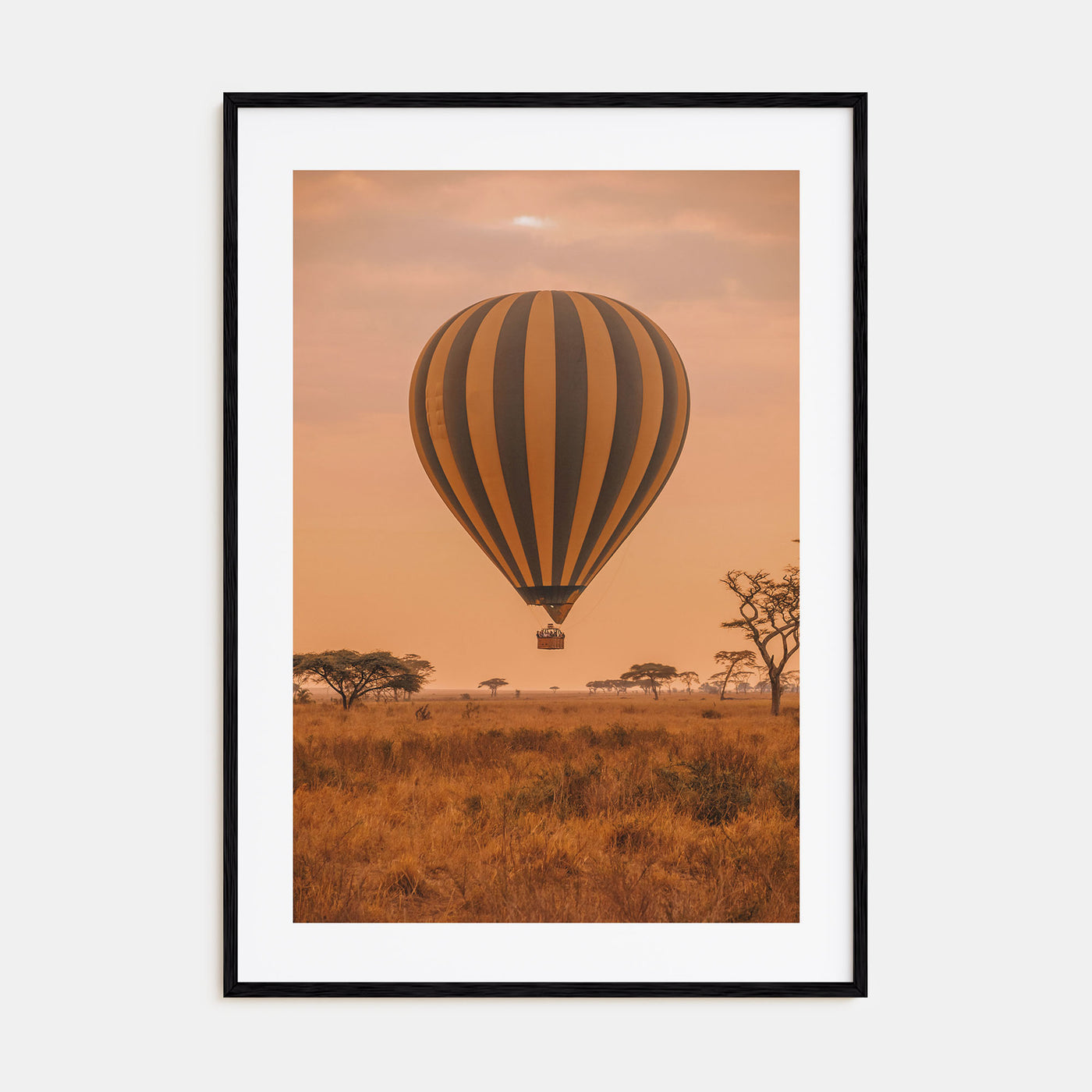 Hot Air Balloon Photo Color No 1 Poster