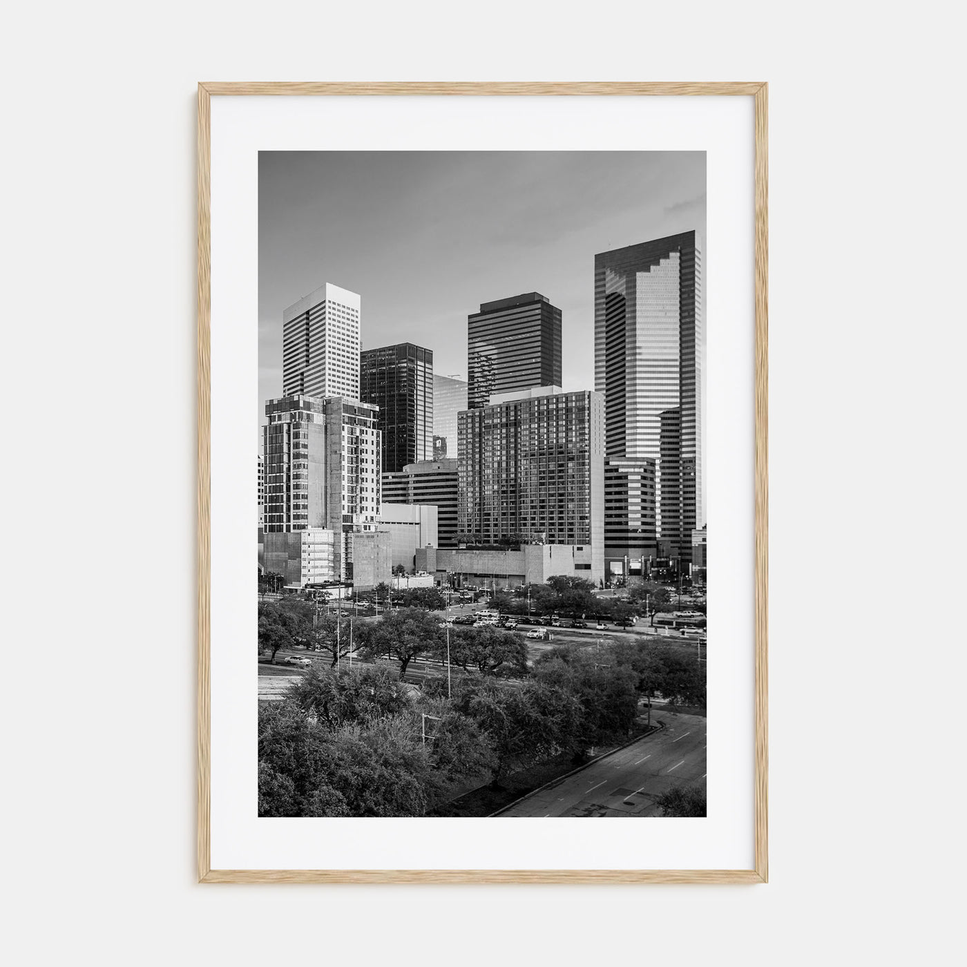 Houston Photo B&W No 1 Poster