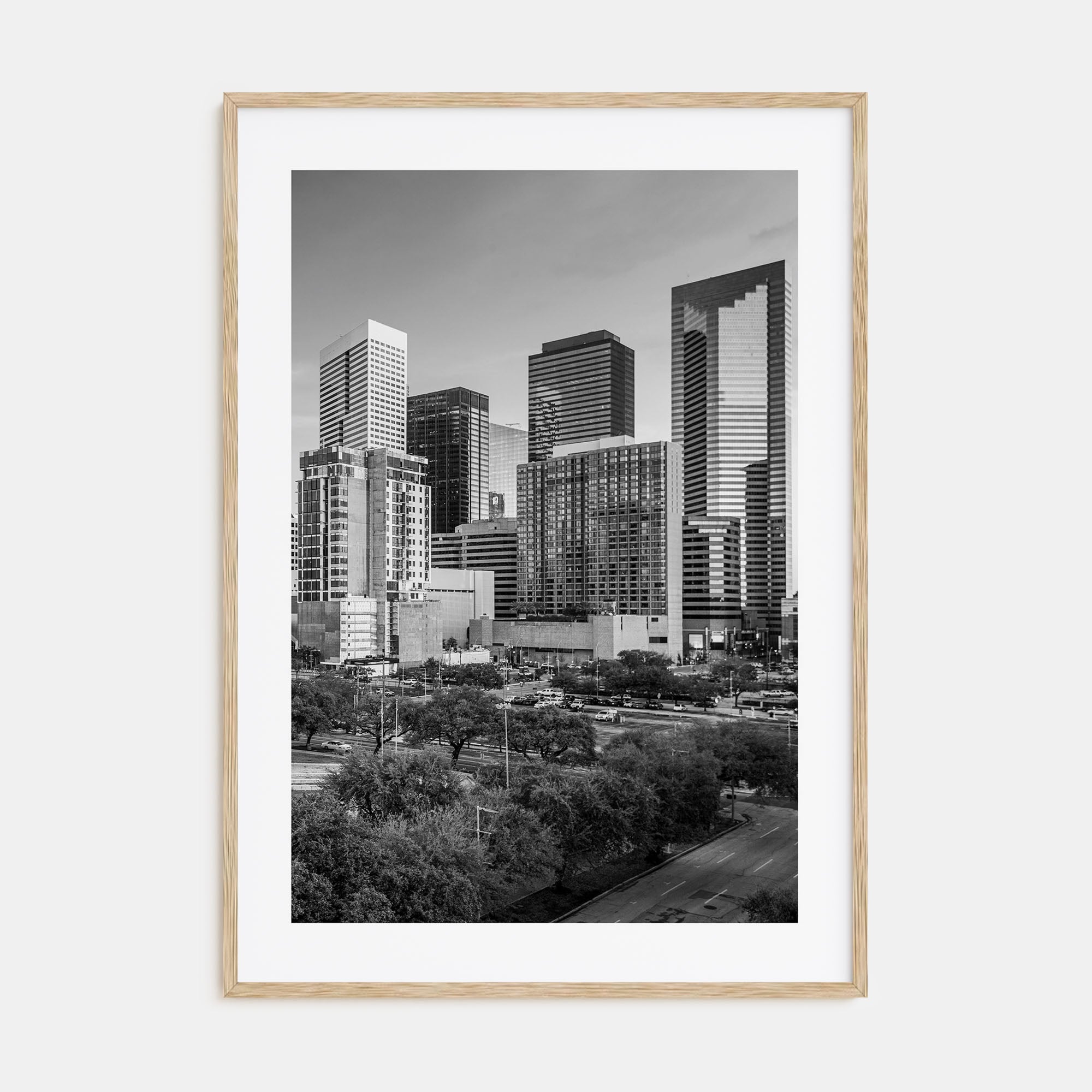 Houston Photo B&W No 1 Poster