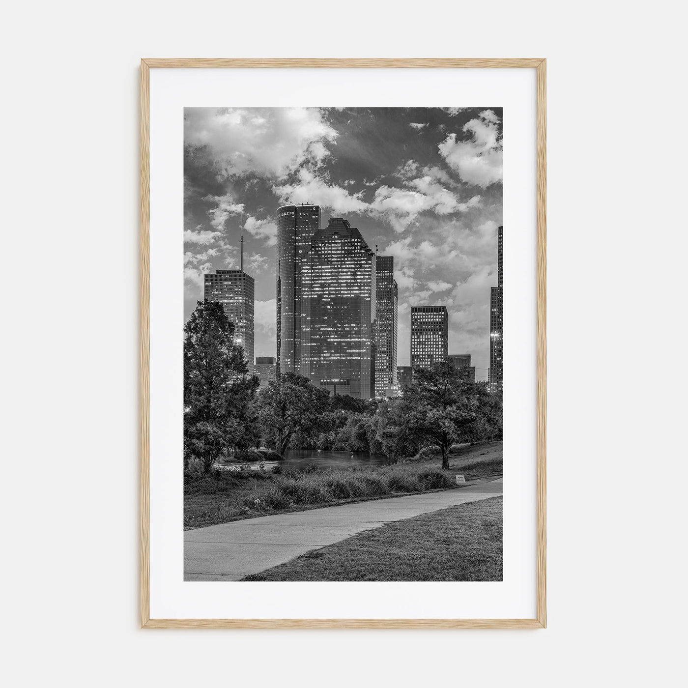 Houston Photo B&W No 2 Poster