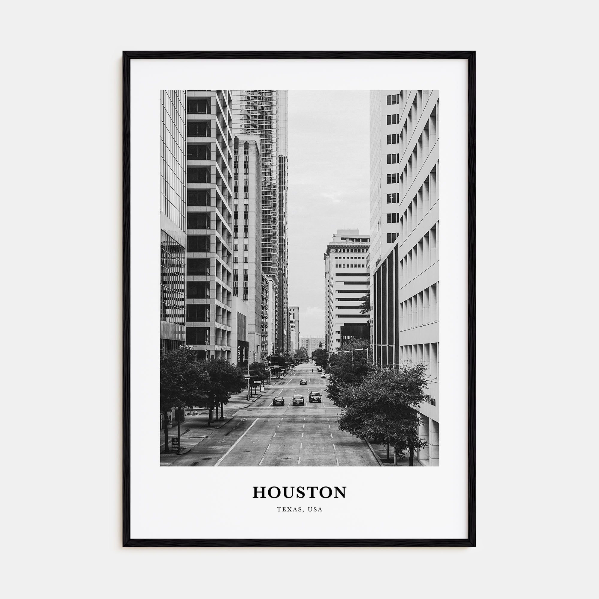 Houston Portrait B&W No 3 Poster