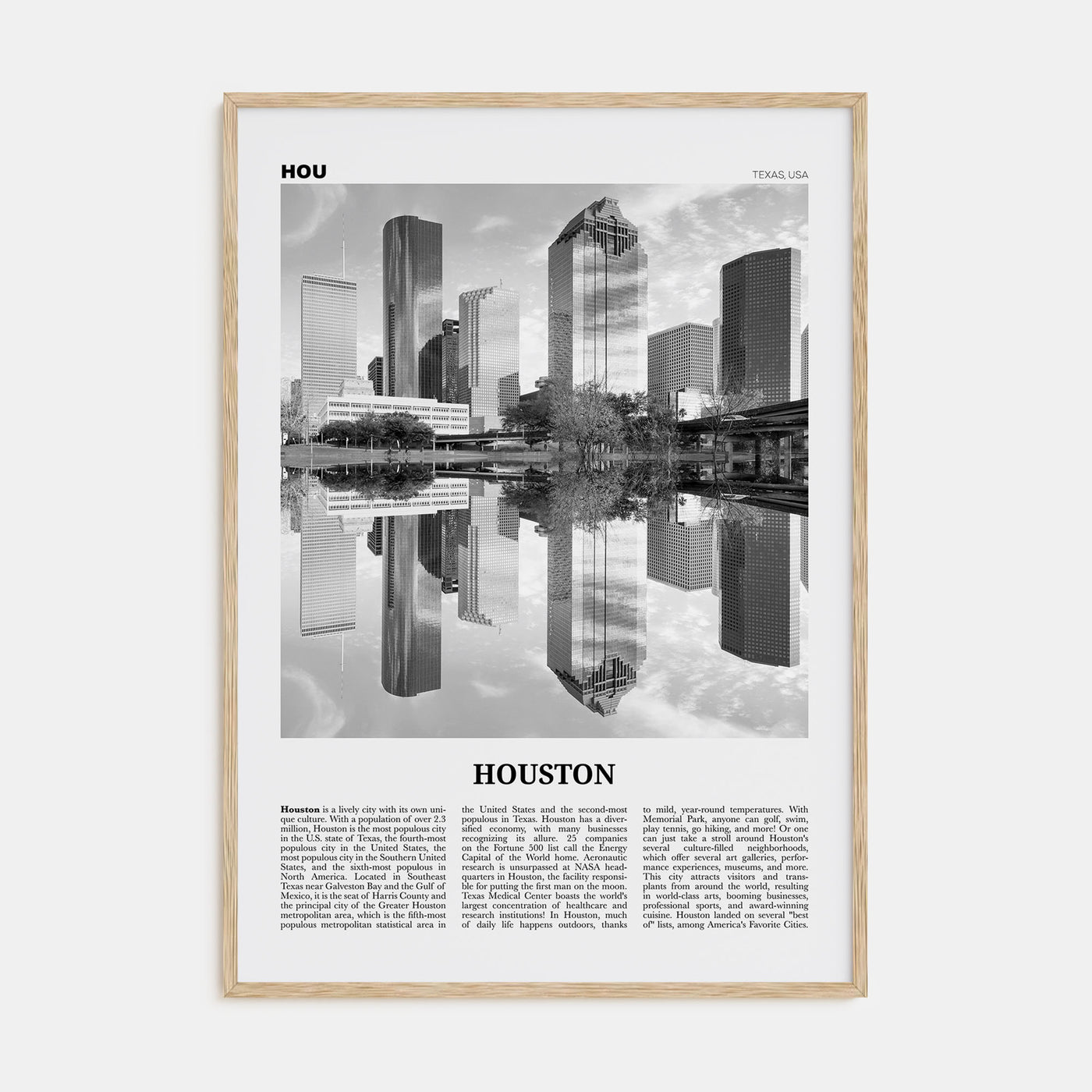Houston Travel B&W No 2 Poster