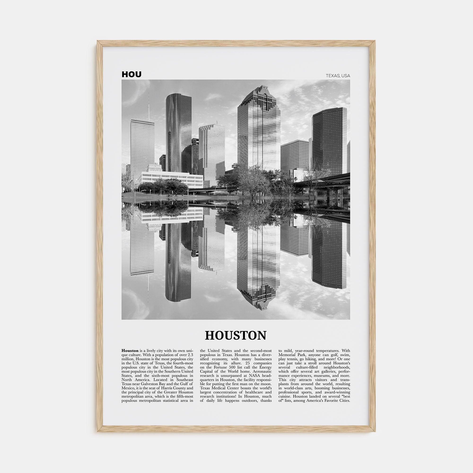 Houston Travel B&W No 2 Poster