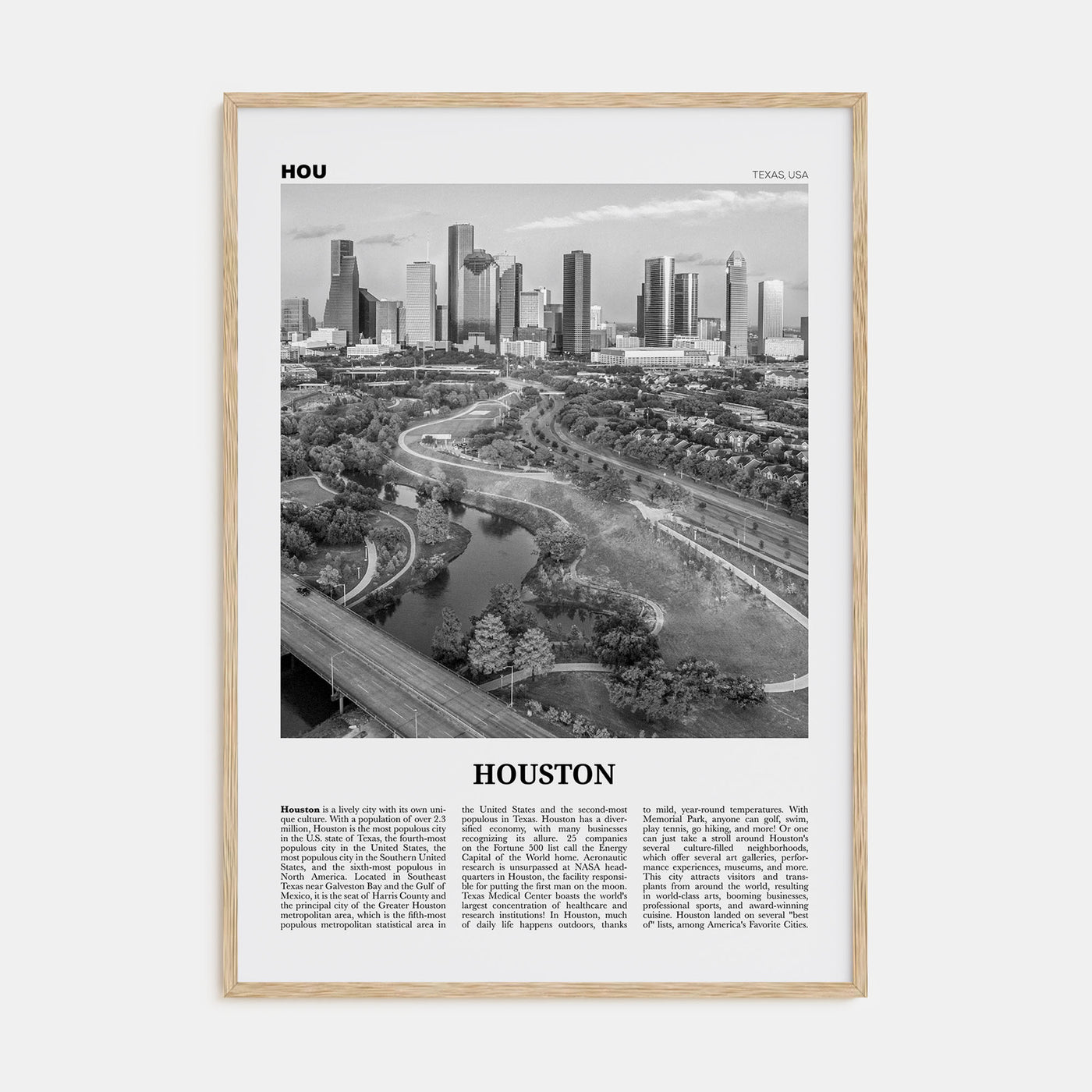Houston Travel B&W No 4 Poster