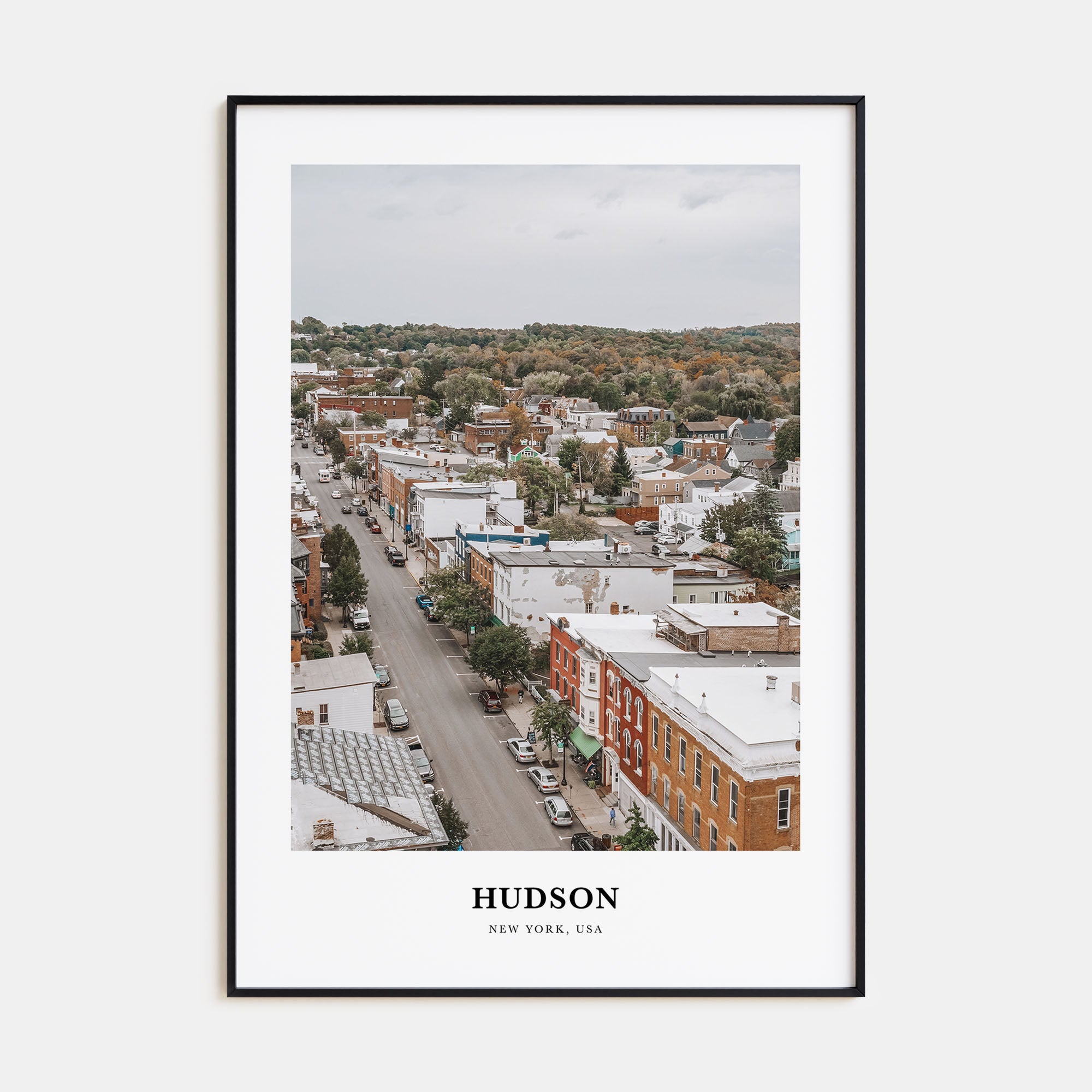 Hudson Portrait Color Poster