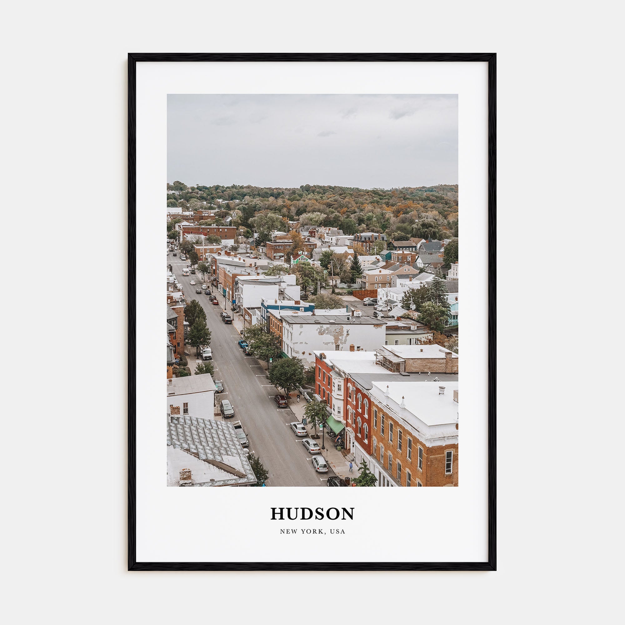 Hudson Portrait Color Poster