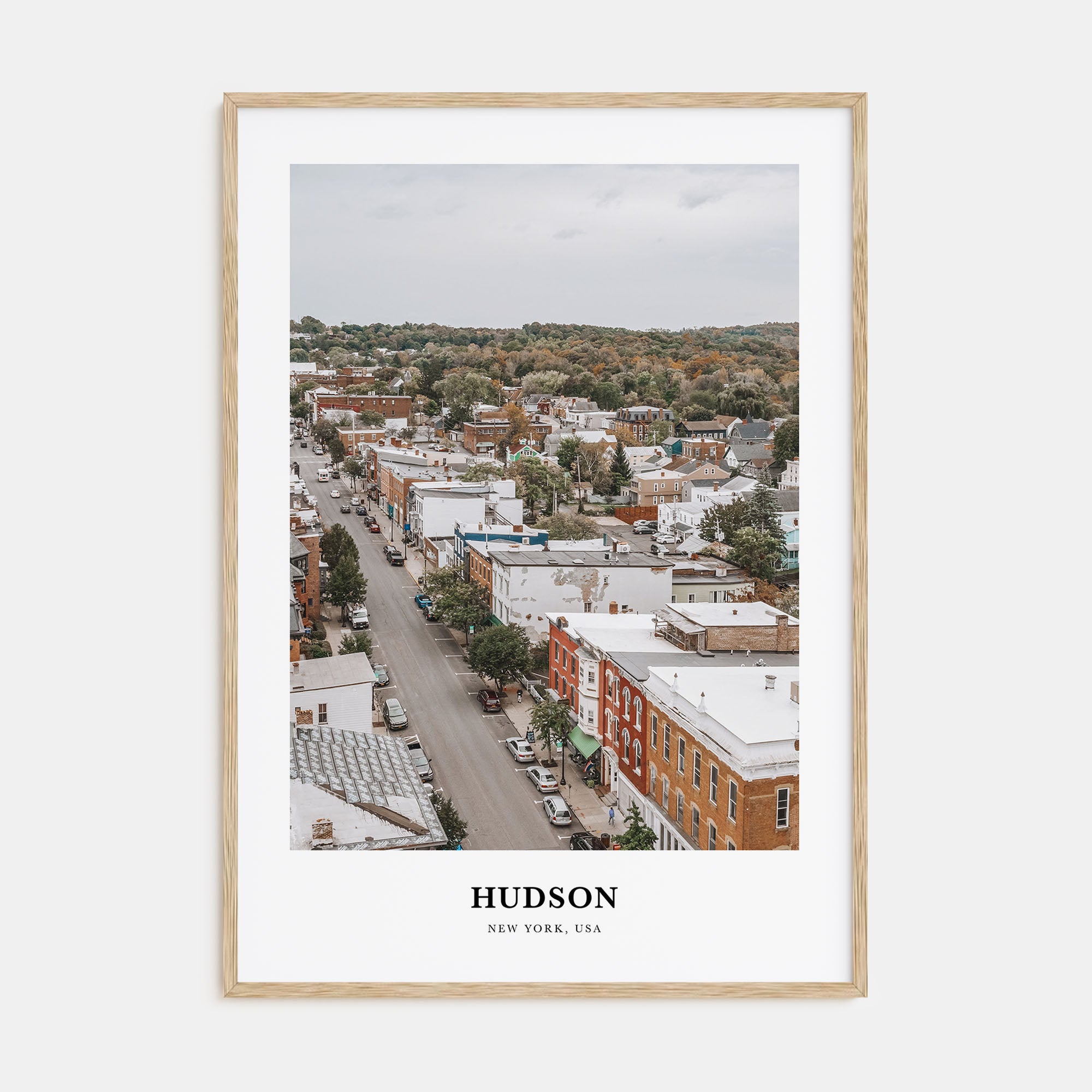 Hudson Portrait Color Poster