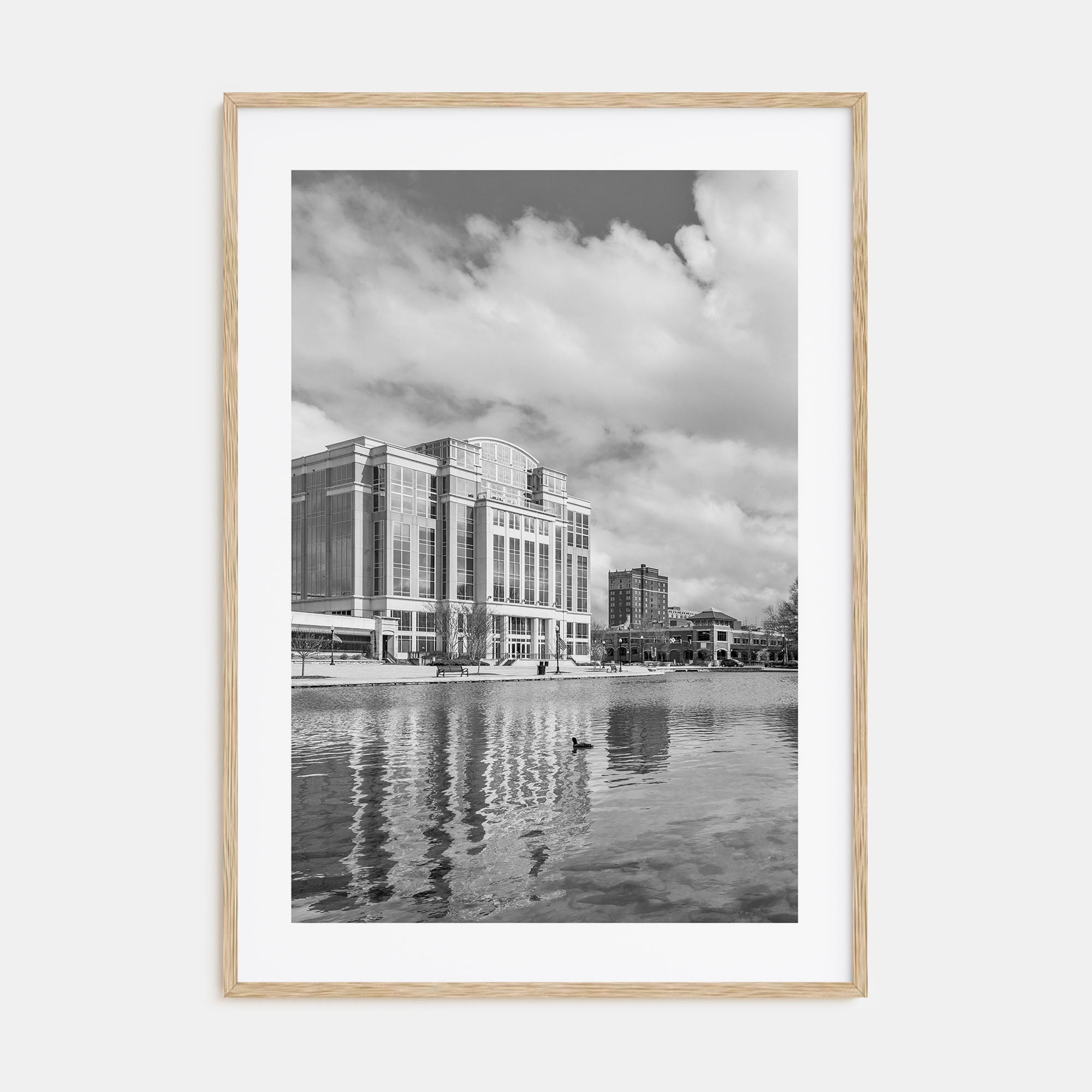 Huntsville Photo B&W Poster