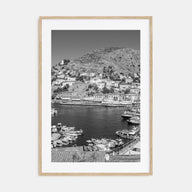 Hydra Photo B&W Poster