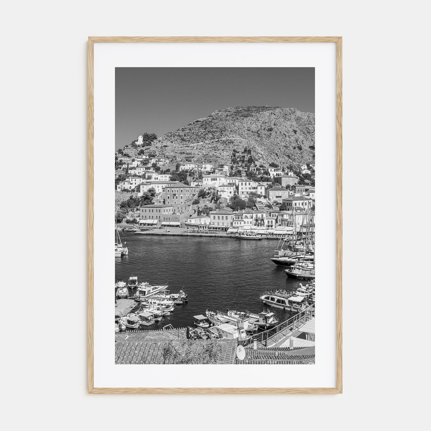 Hydra Photo B&W Poster