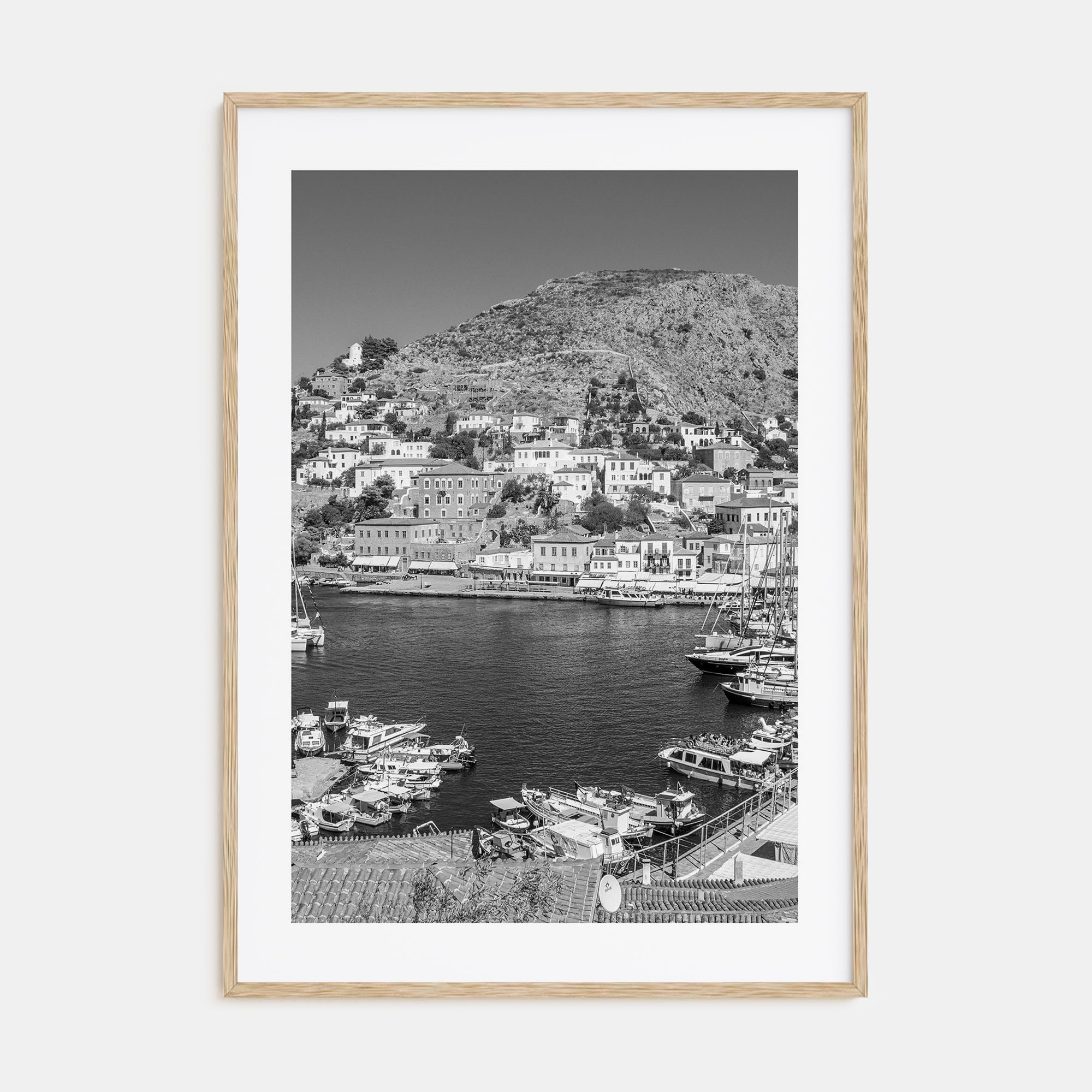 Hydra Photo B&W Poster