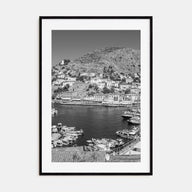 Hydra Photo B&W Poster