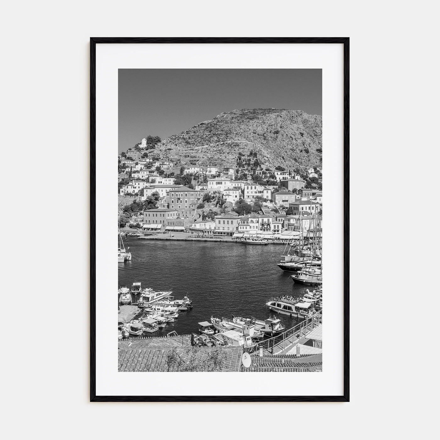 Hydra Photo B&W Poster