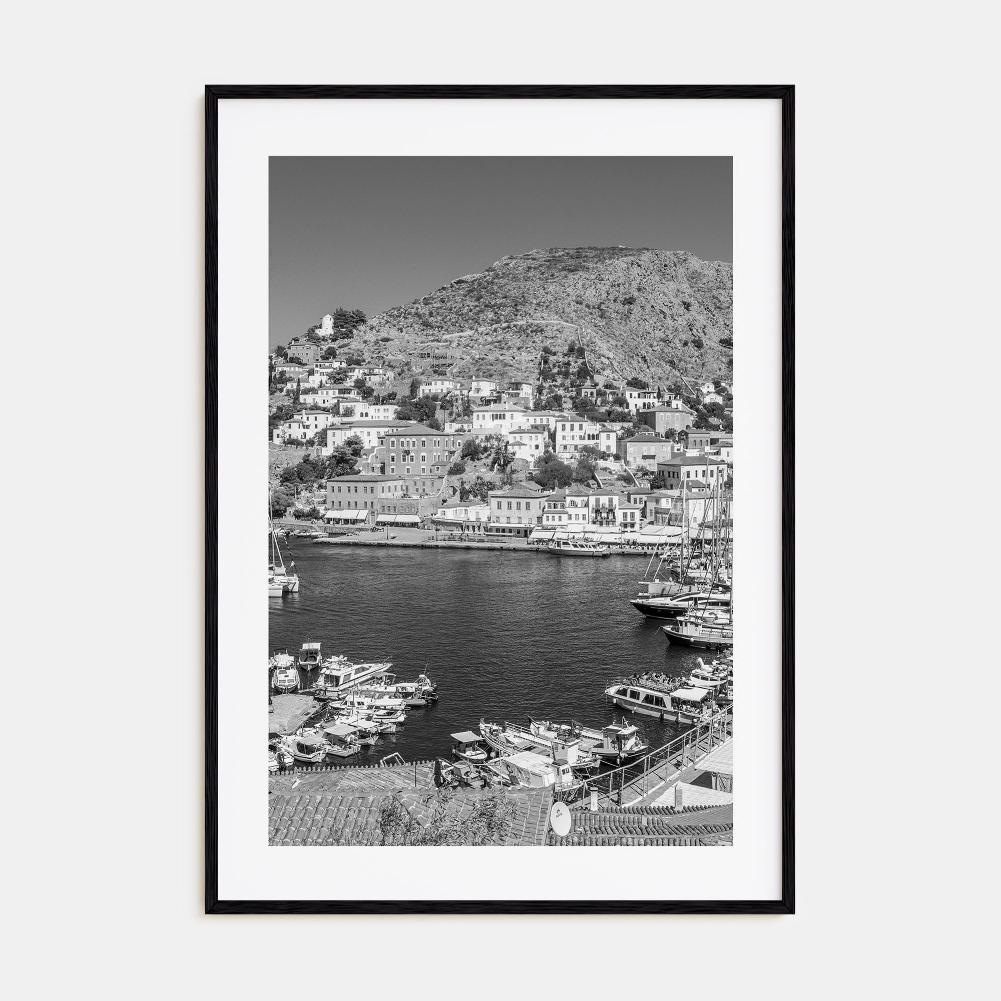 Hydra Photo B&W Poster