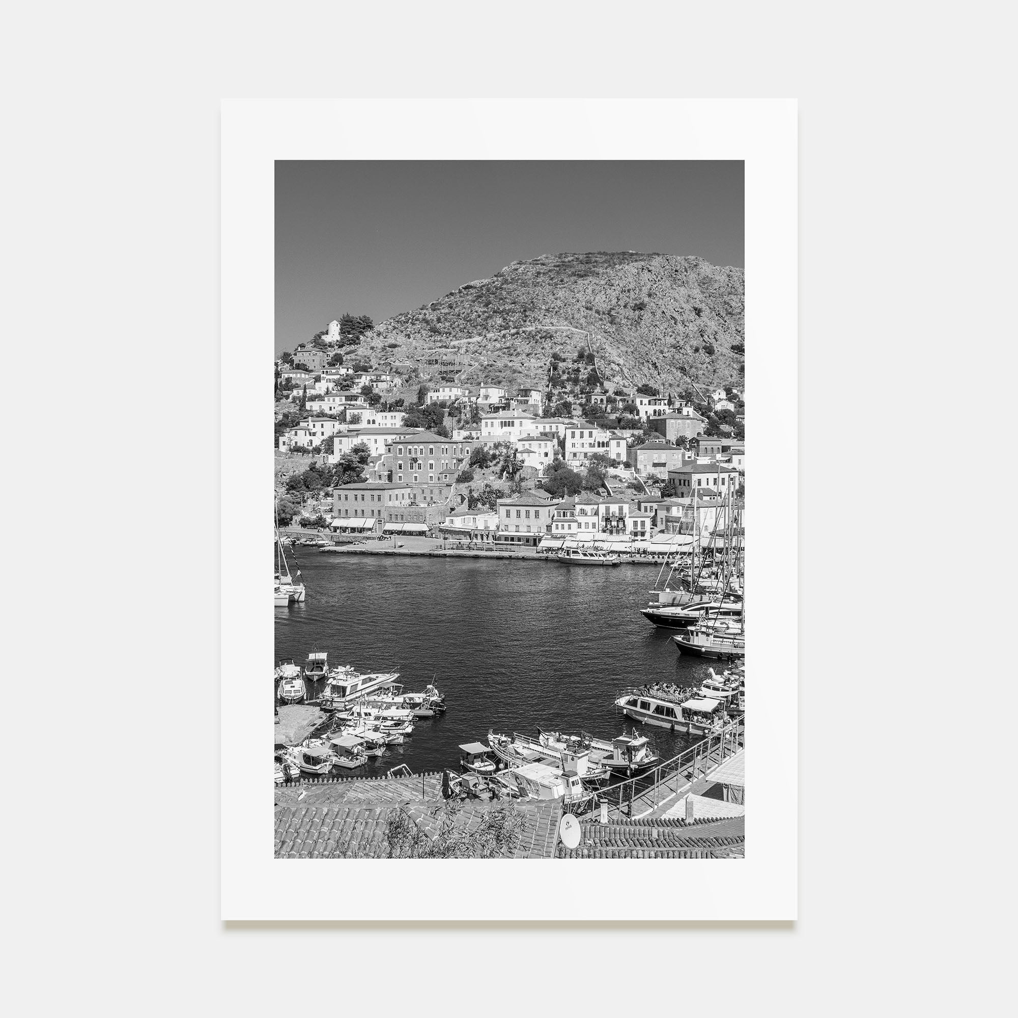 Hydra Photo B&W Poster