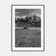 Idaho Photo B&W Poster