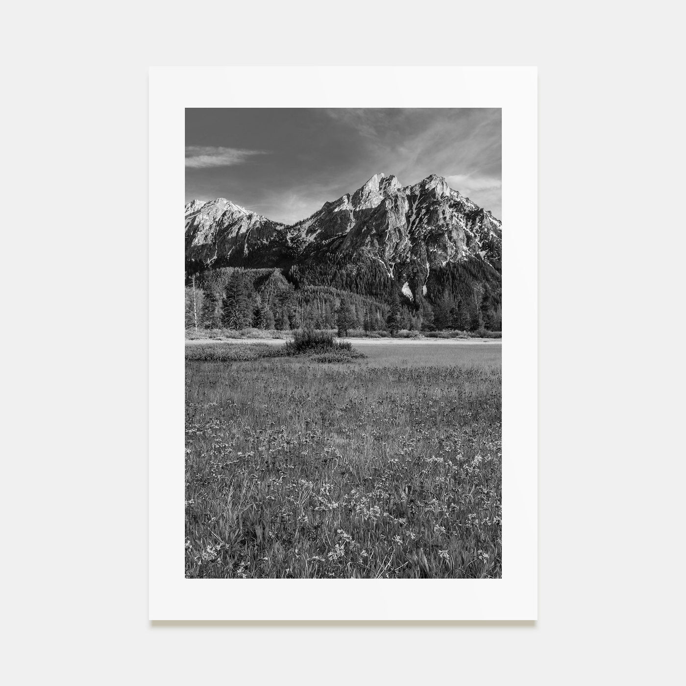 Idaho Photo B&W Poster