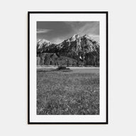 Idaho Photo B&W Poster
