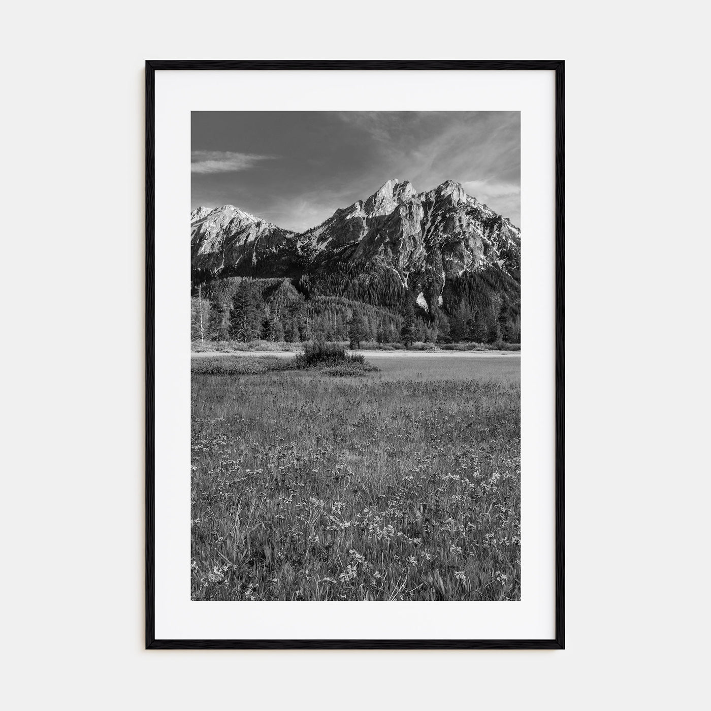 Idaho Photo B&W Poster