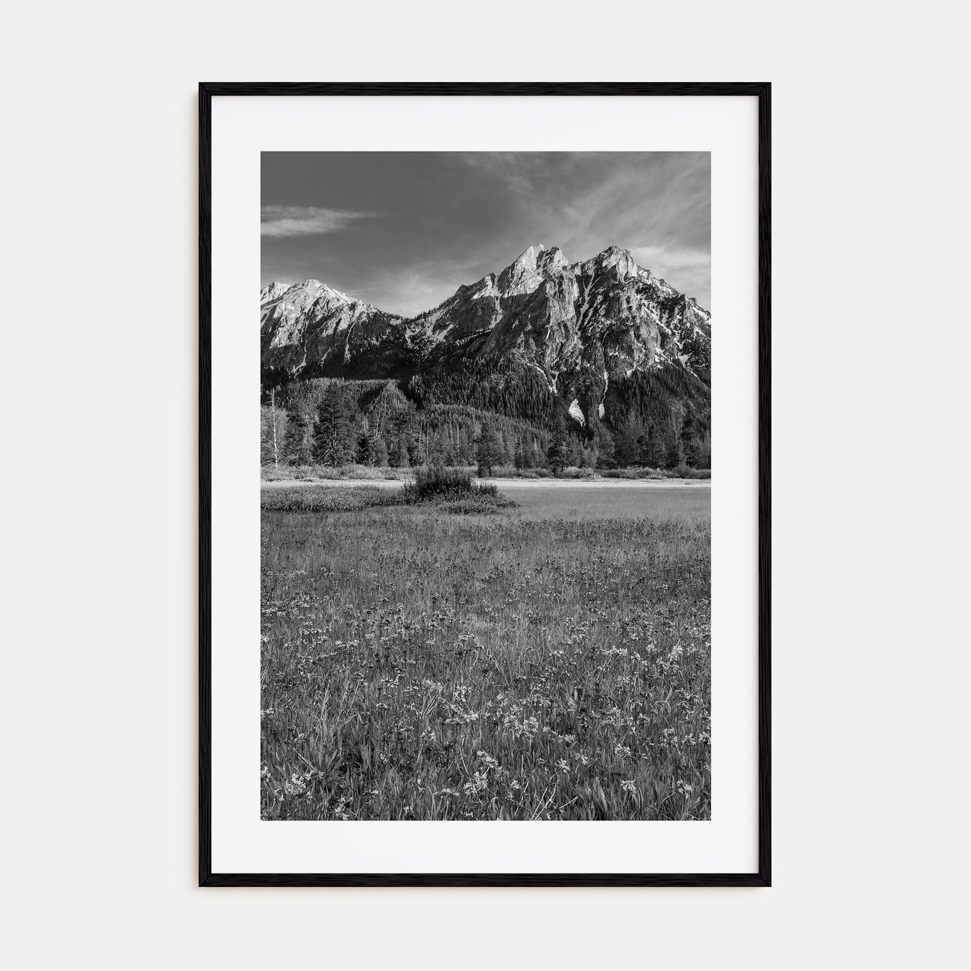 Idaho Photo B&W Poster