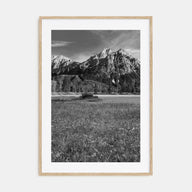 Idaho Photo B&W Poster
