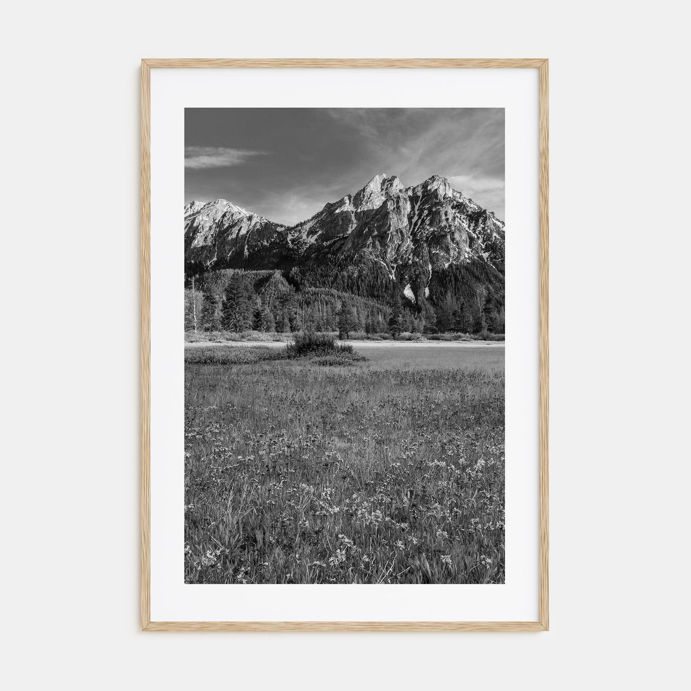 Idaho Photo B&W Poster